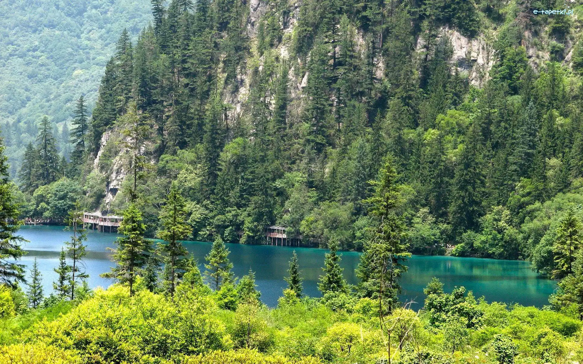 Jezioro, Drzewa, Góry