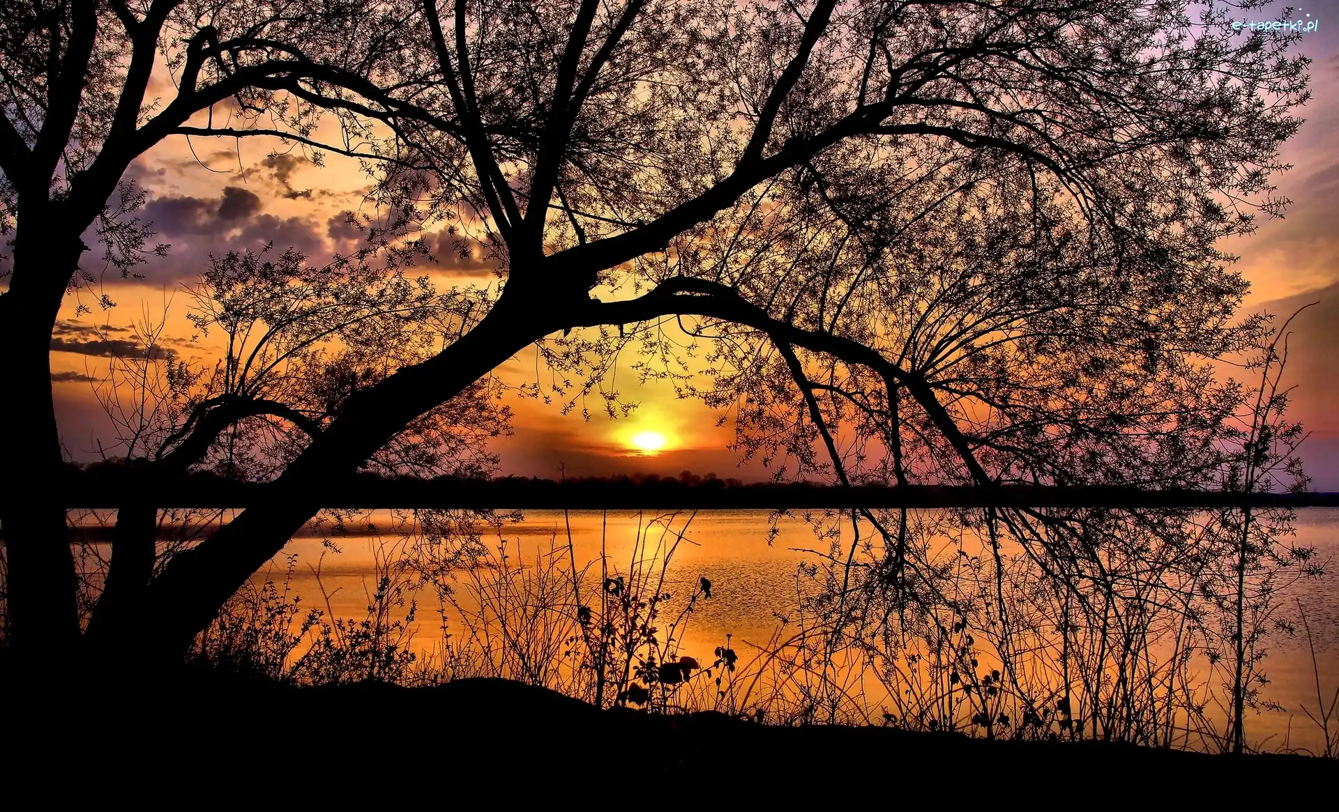 Jezioro, Roślinność, Drzewo, Słońca, Zachód