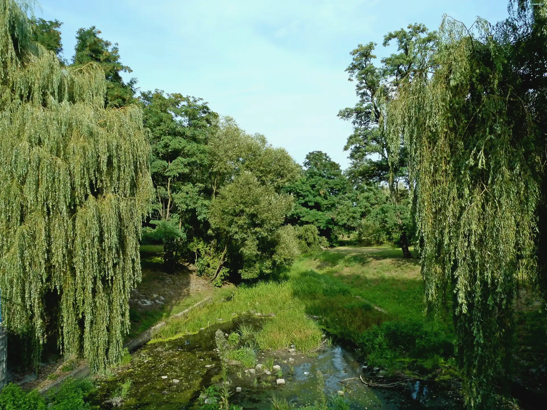 Park, Drzewa, Dolnyśląsk, Most, Kamienie