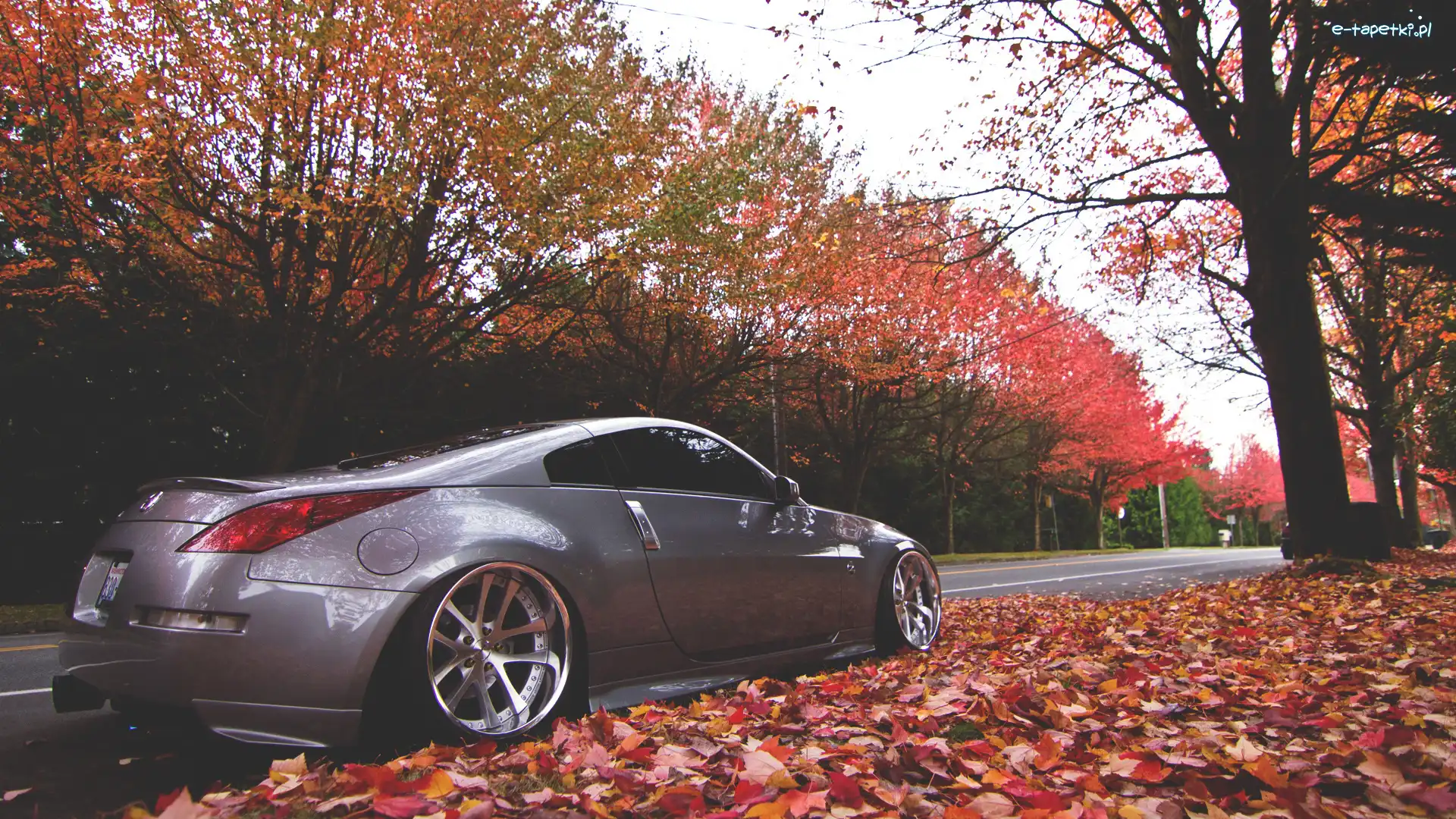 Droga, 350Z, Nissan, Jesień