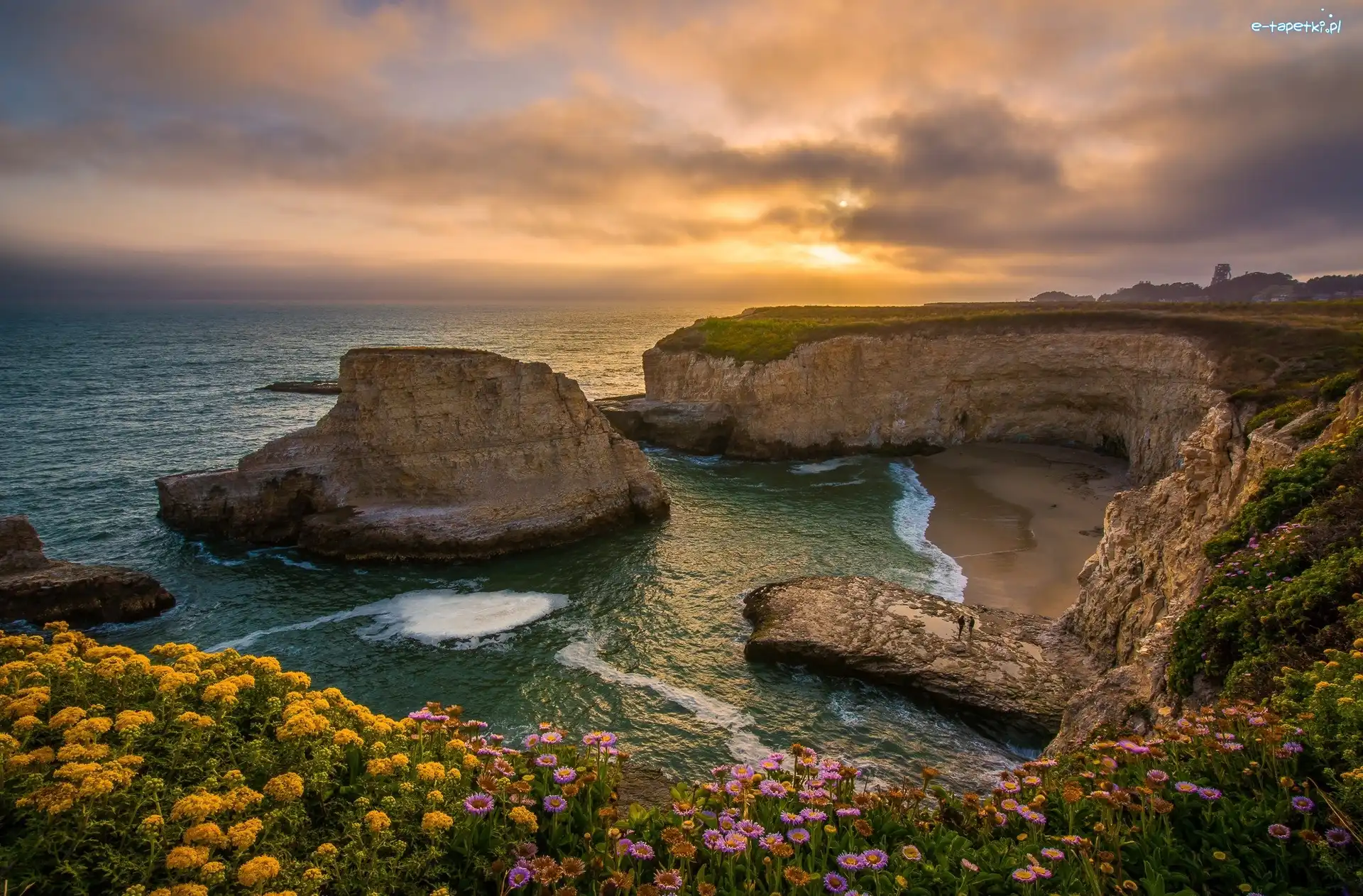 Plaża Shark Fin Cove, Morze, Davenport, Skały, Stany Zjednoczone, Klif, Wschód słońca, Kalifornia, Kwiaty, Wybrzeże, Hrabstwo Santa Cruz