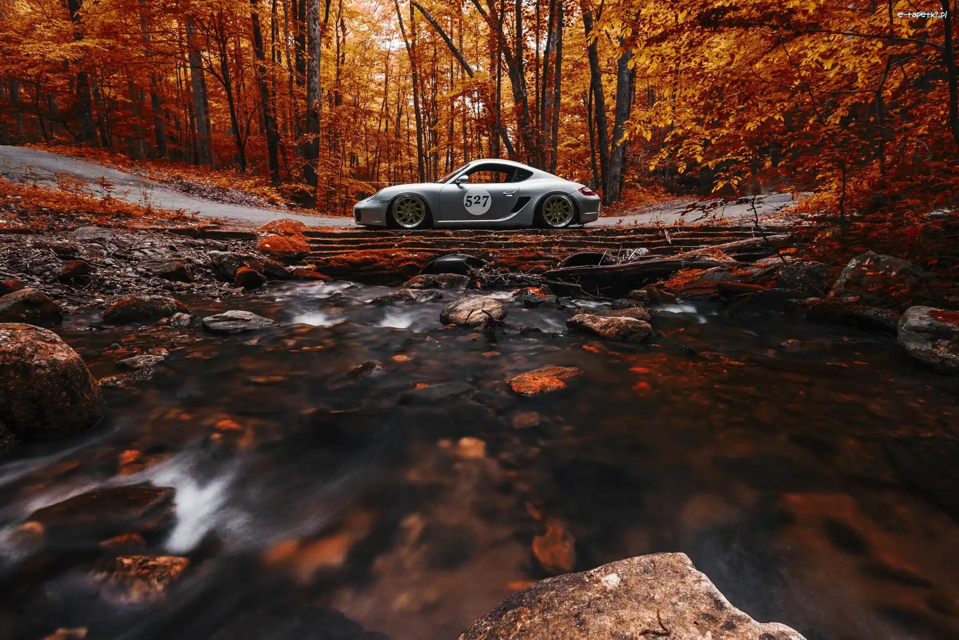 Porsche, Las, Jesienny, Srebrne