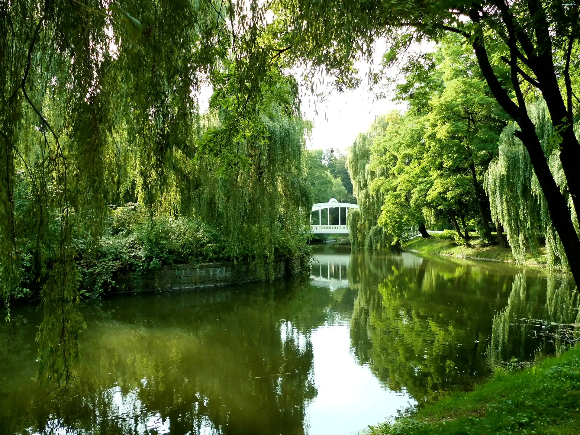 Staw, Dolny Śląsk, Park