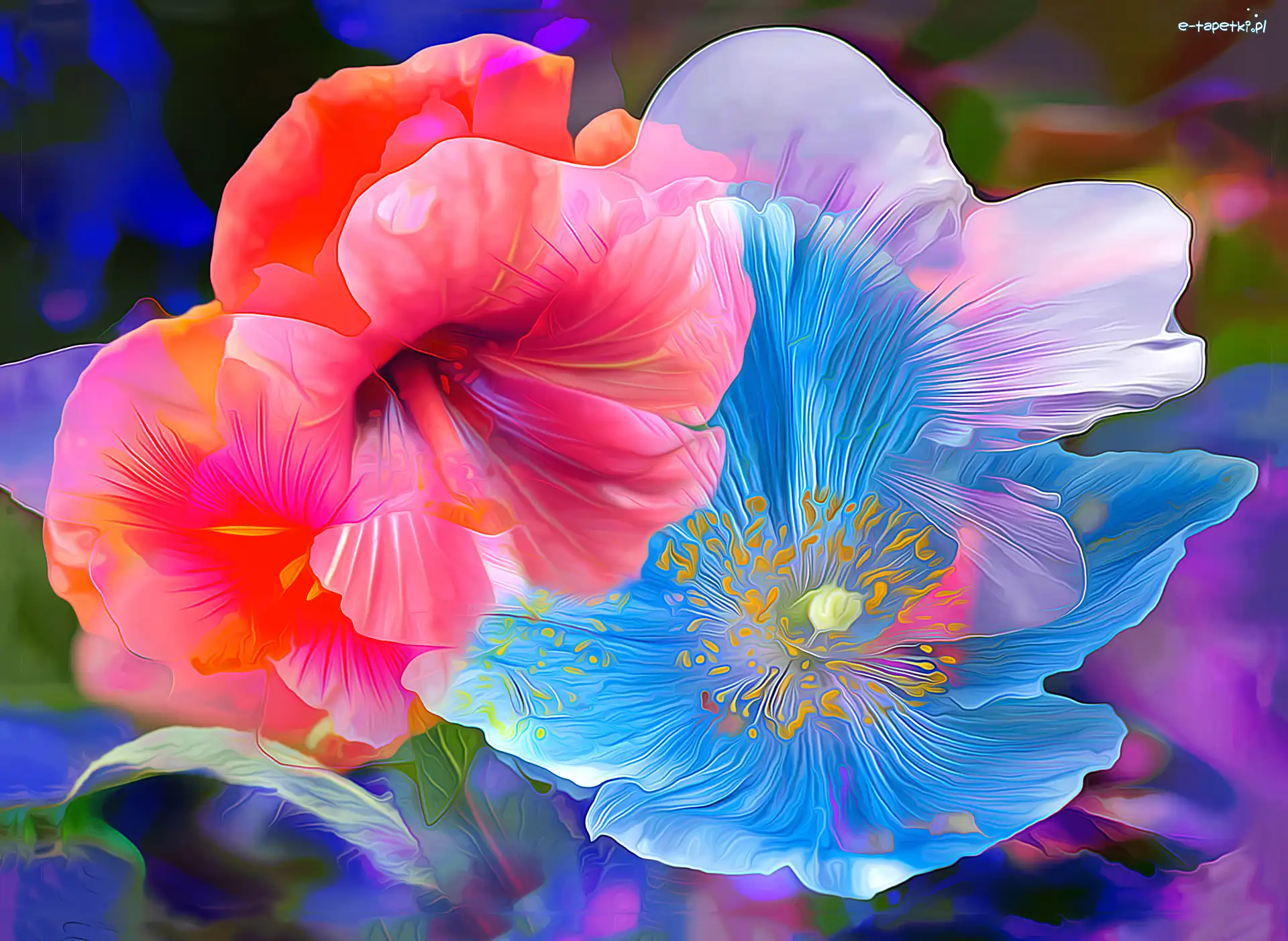 Kwiaty, Paintography, Grafika