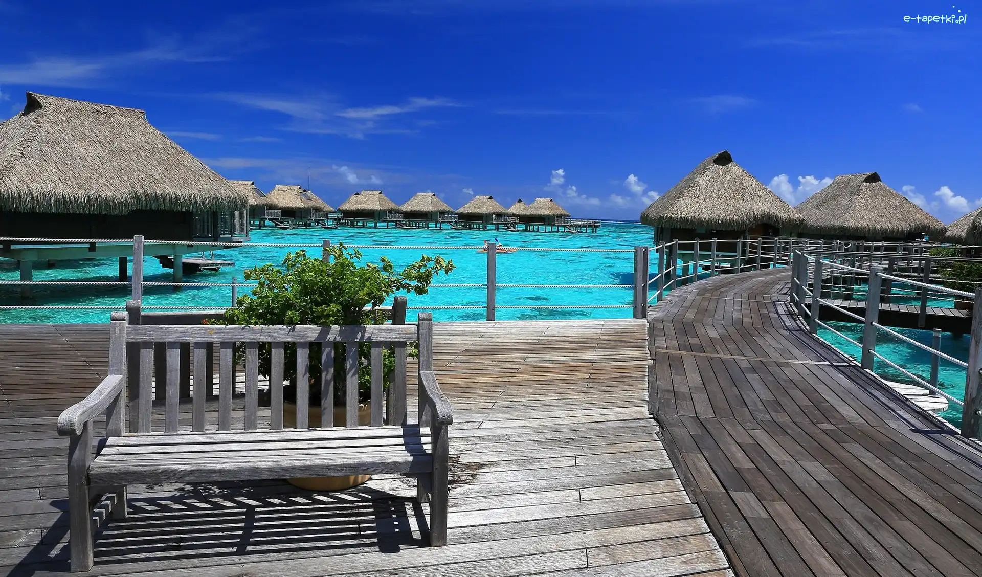 Bungalow, Kurort, Ławka, Moorea, Wyspa, Domki, Ocean