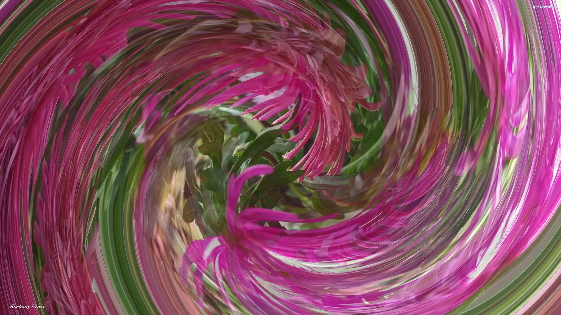 Abstrakcja, Kolorowa