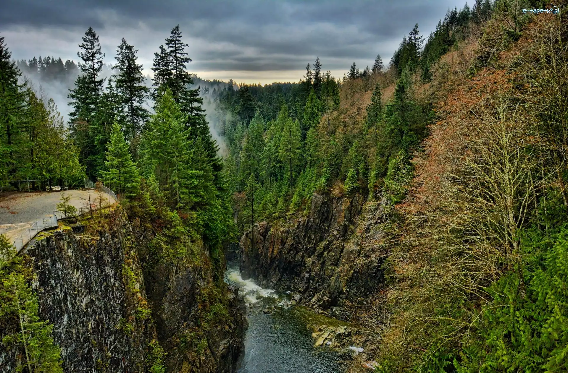 Góry, Mgła, Rzeka, Las