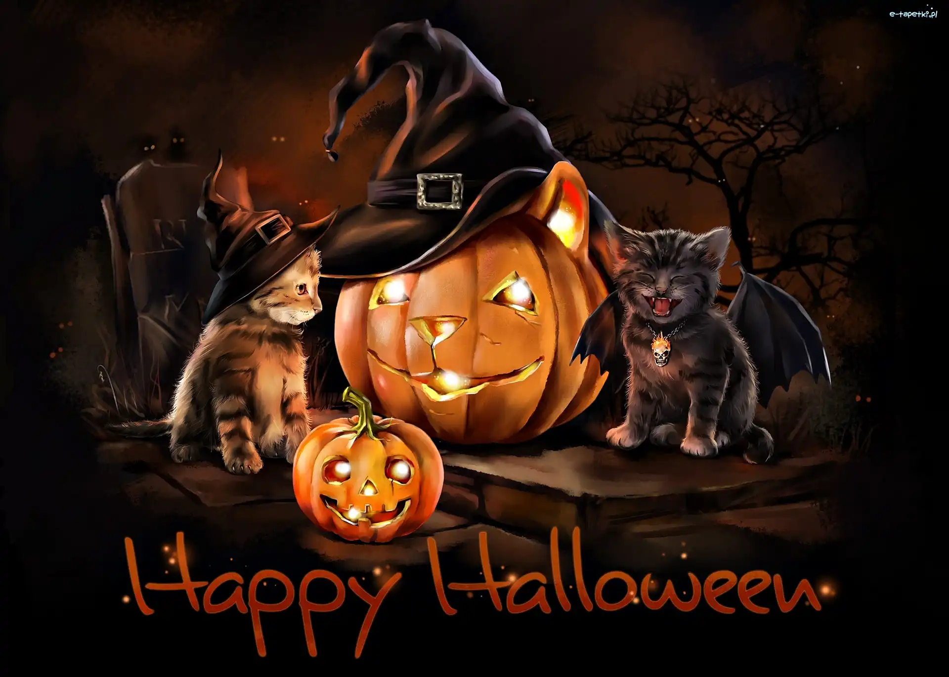 Koty, Dynie, Halloween