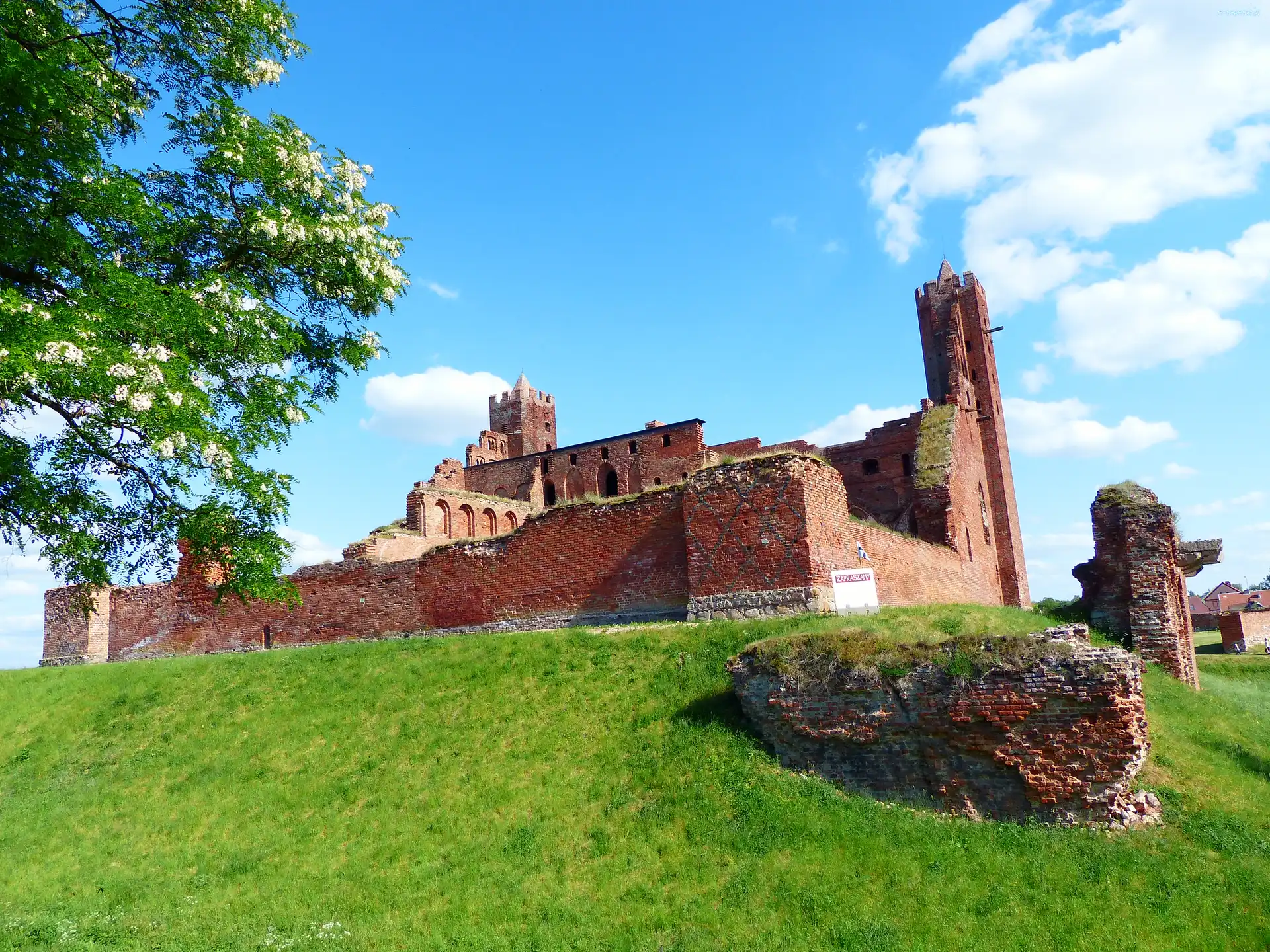 Radzyń, Zamek, Budowle