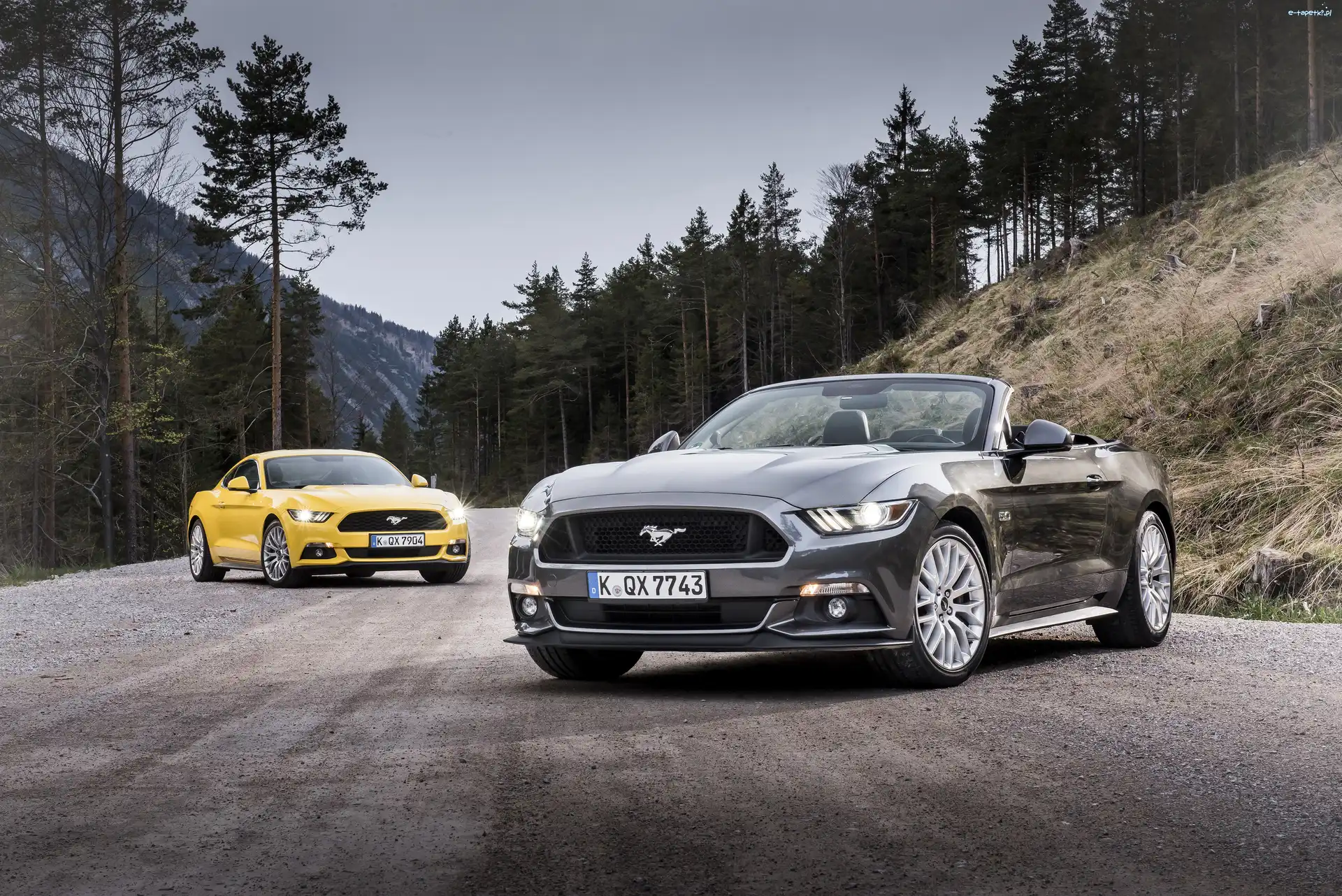 Mustang converbile, Ford, Samochody