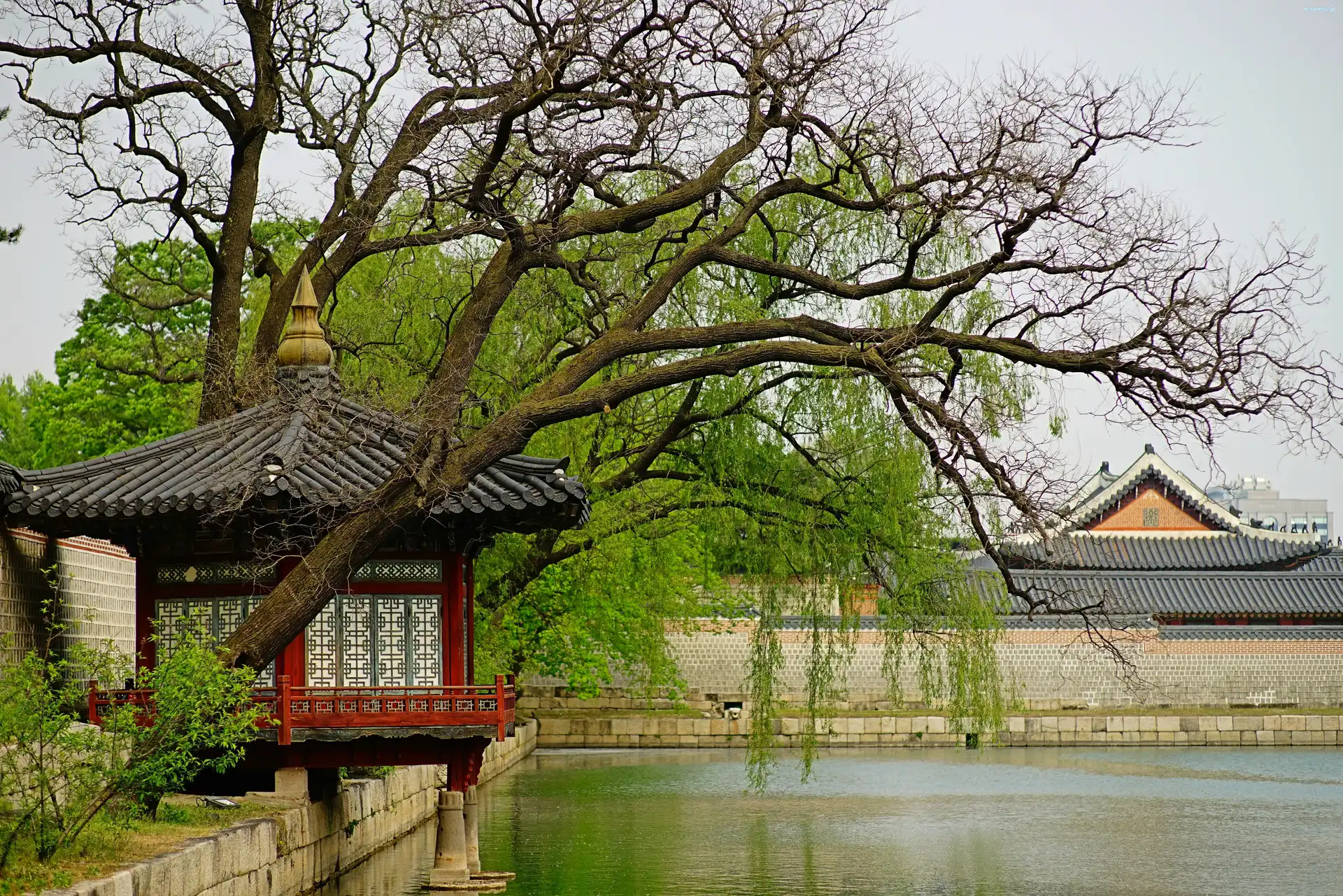 Pałac, Południowa, Korea, Jezioro, Drzewo