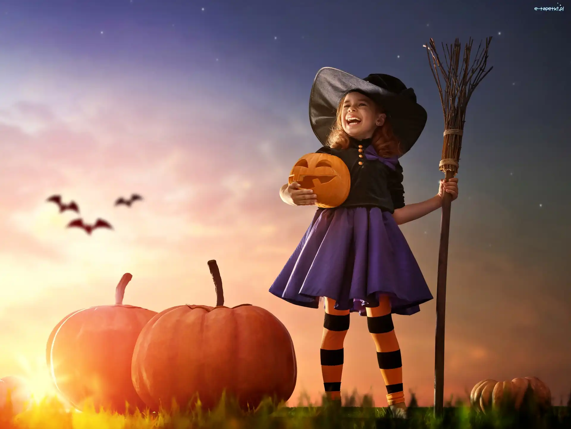 Halloween, Dynie, Dziewczynka, Miotła, Nietoperze