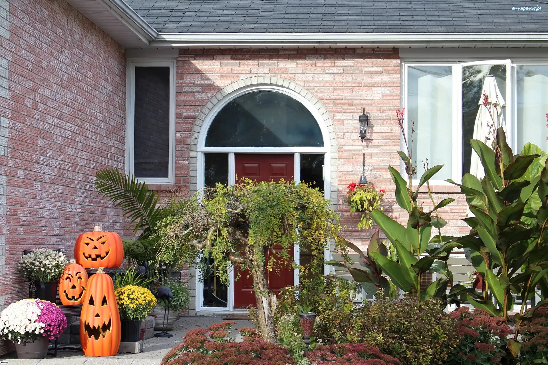 Kwiaty, Przed, Domem, Dekoracje, Dom, Drzewa, Halloween