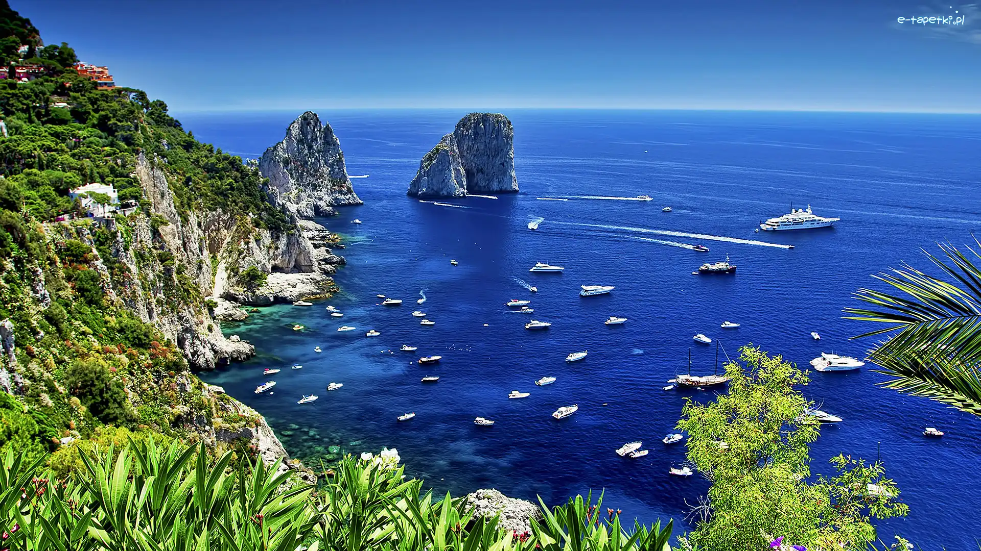 Capri, Włochy, Roślinność, Skały, Wyspa, Domki, Morze, Europa
