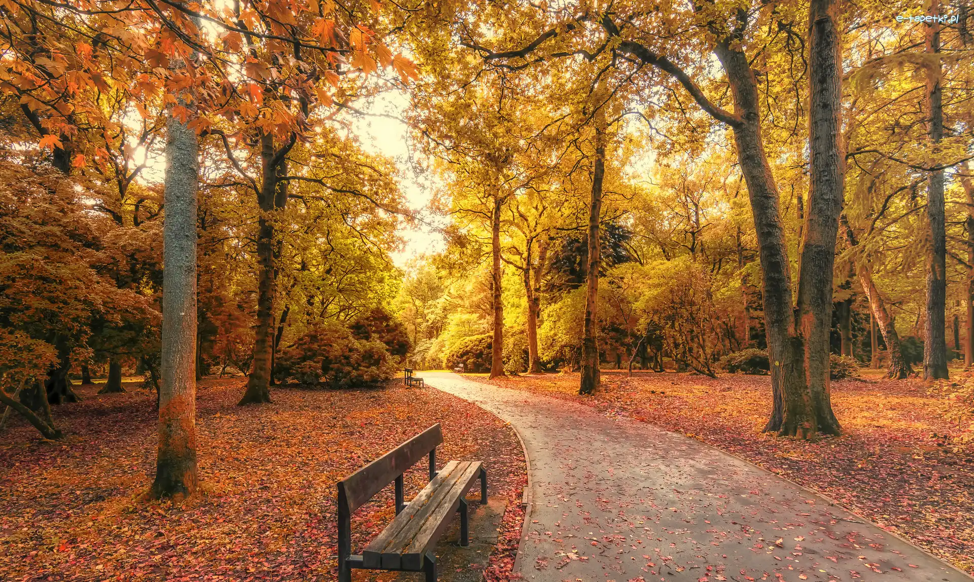 Park, Jesień, Ławki, Alejka
