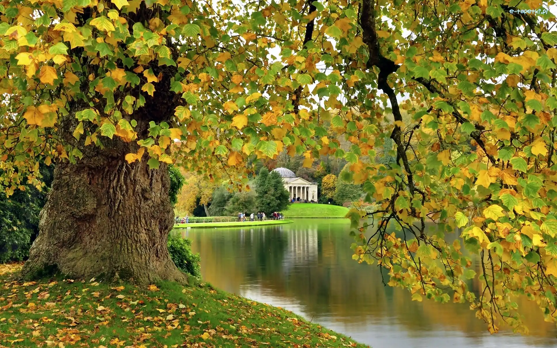 Jesień, Drzewa, Rezydencja, Jezioro, Park, Anglia, Stourhead