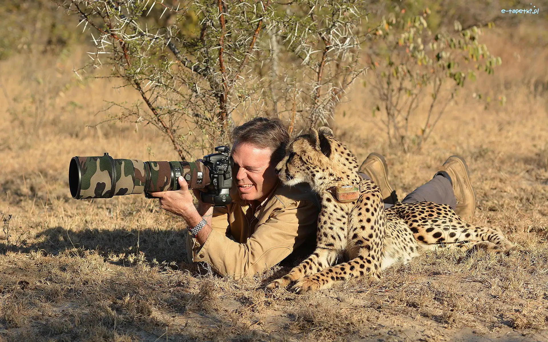 Gepard, Aparat, Fotograf