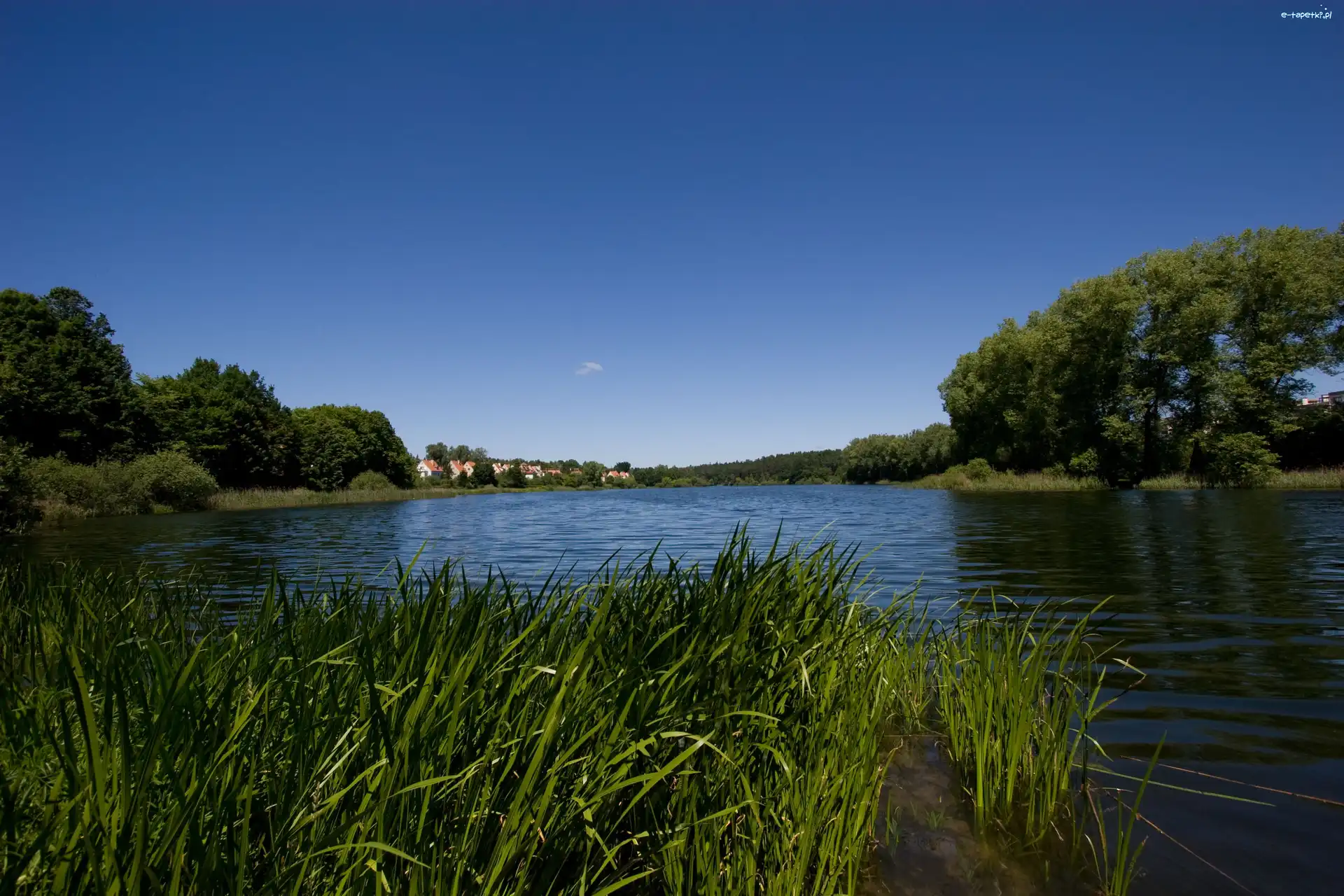 Trzciny, Olsztyn, Niebo, Jezioro