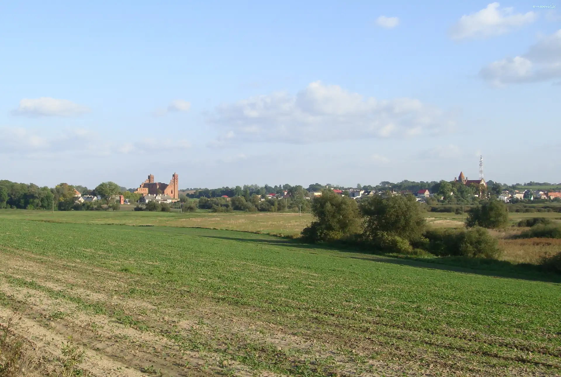 Krajobraz, Pola, Łąki, Radzyń Chełmiński, Miasto