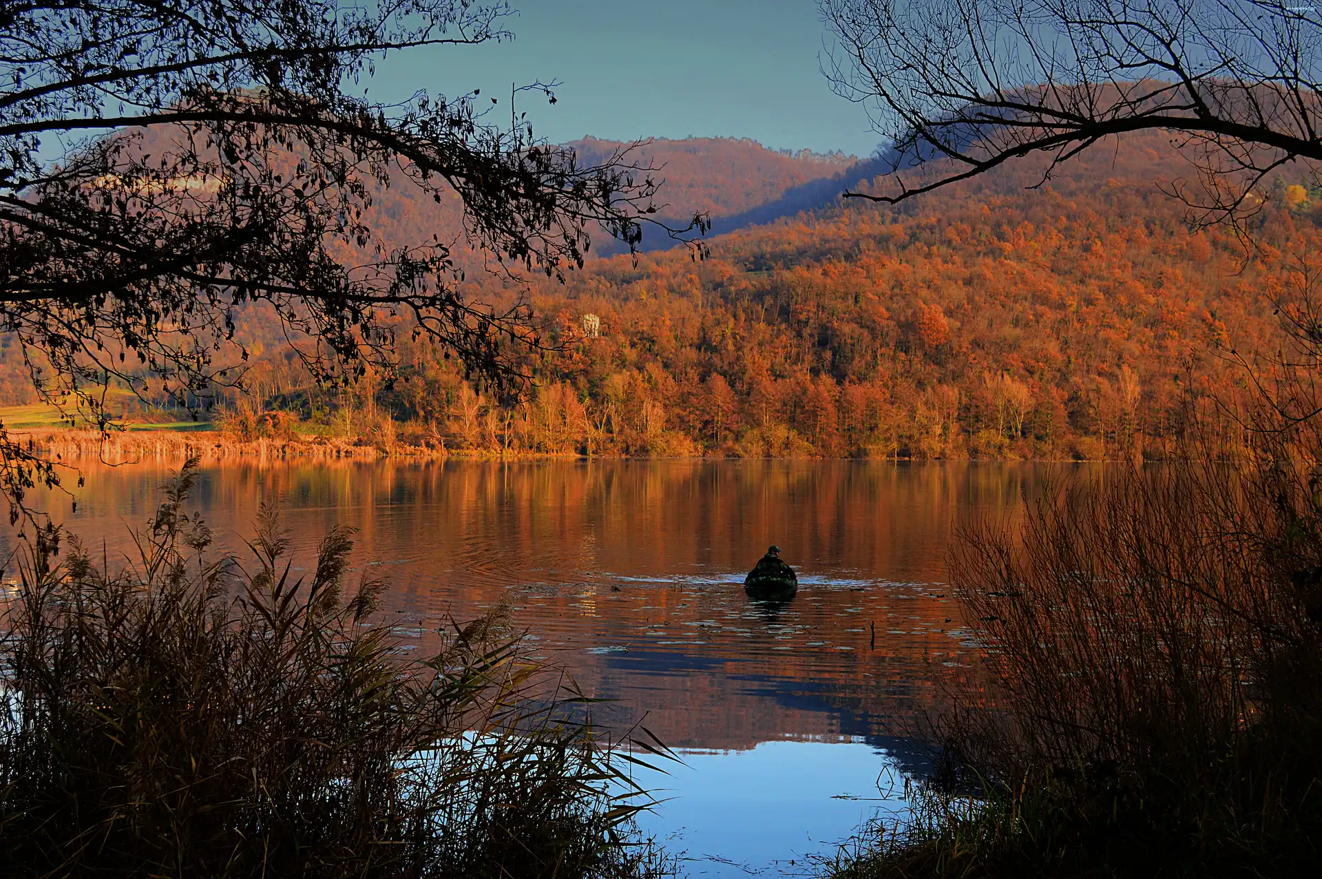 Jesień, Krzewy, Ponton, Jezioro