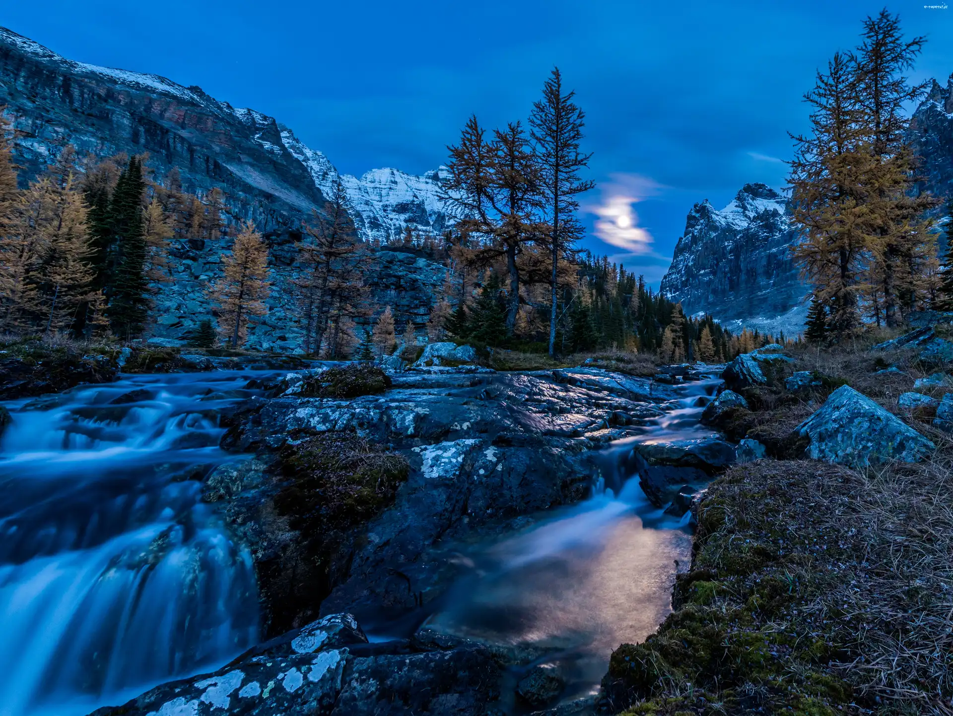 Świt, Potok, Góry, Drzewa, Park Narodowy Yoho, Kanada