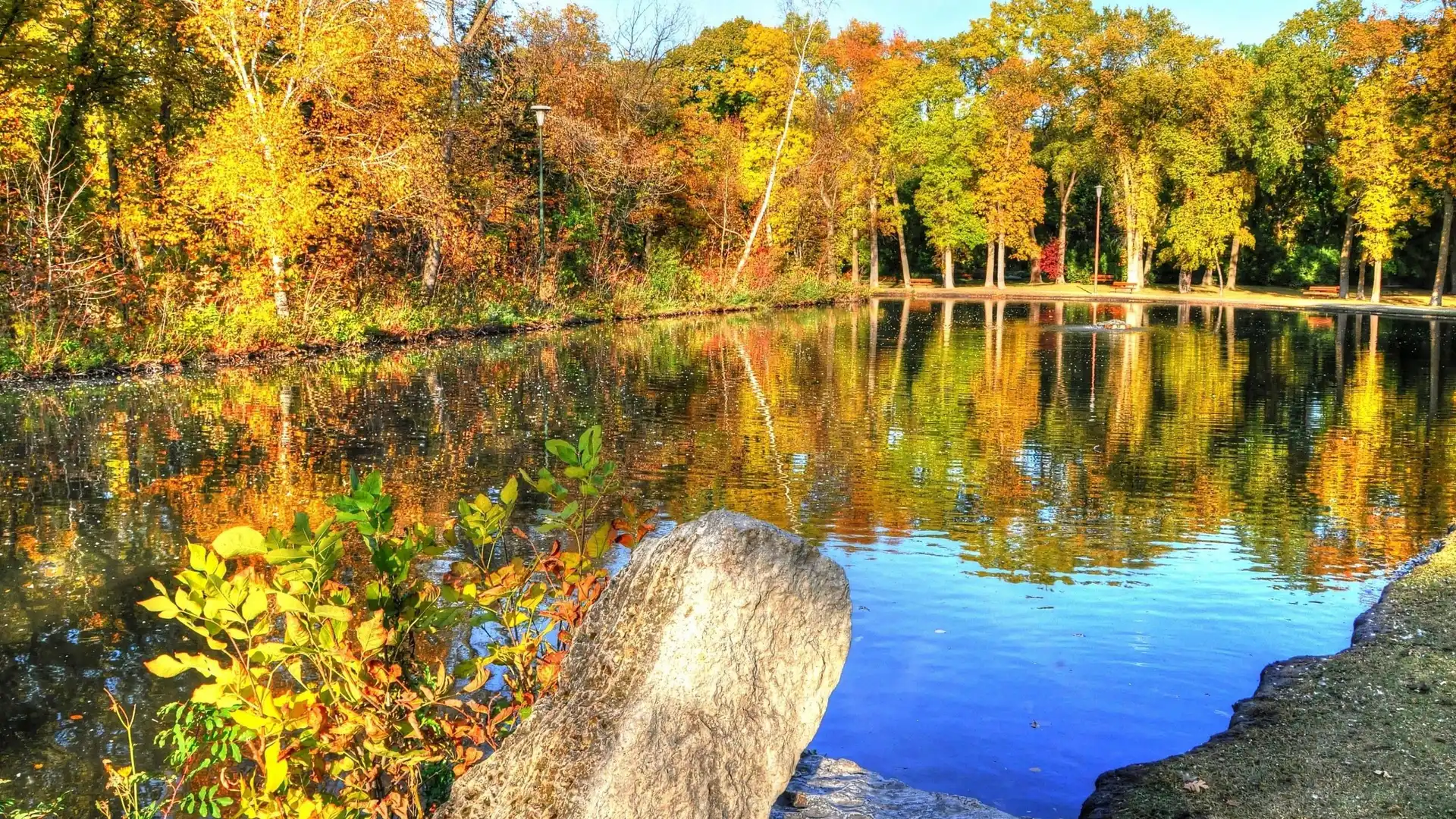 Las, Ławki, Jesień, Staw