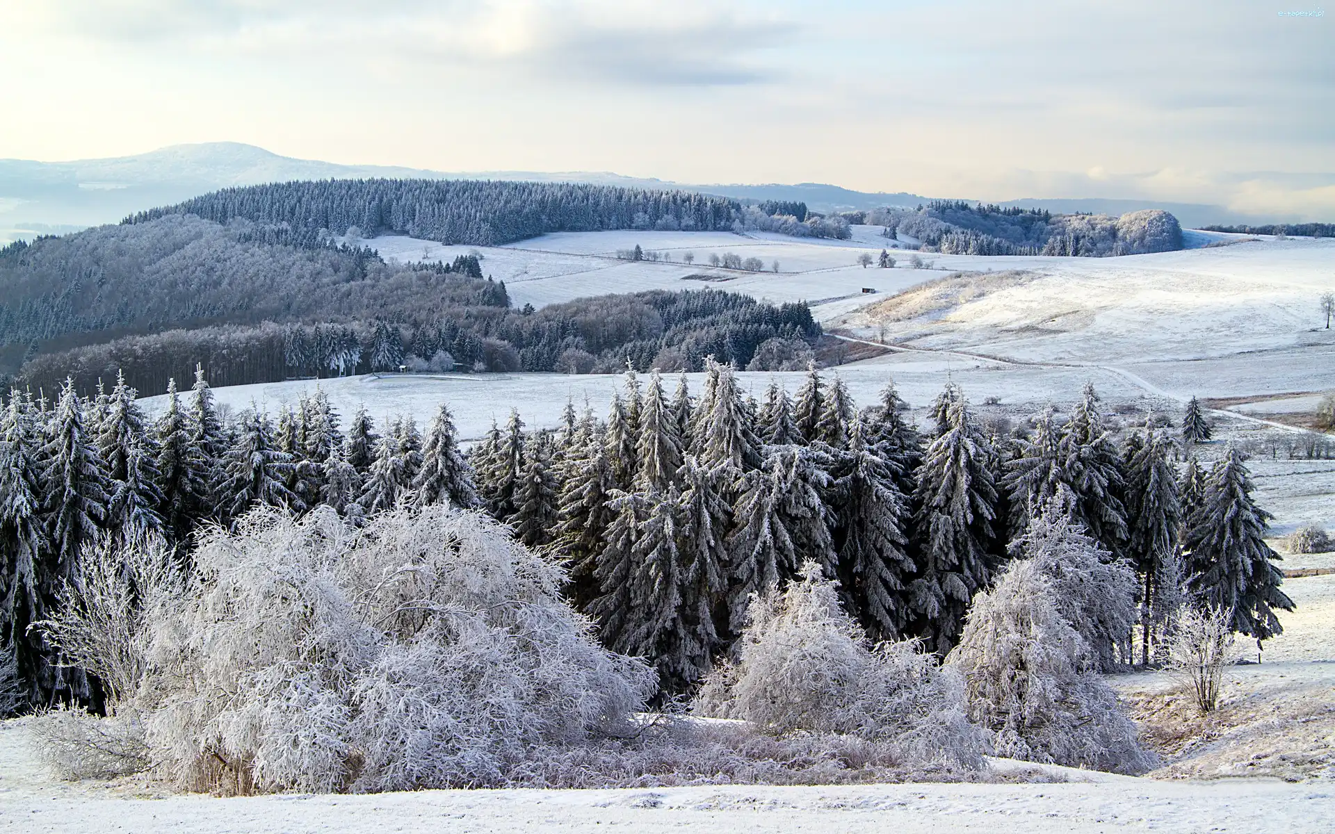 Śnieg, Zima