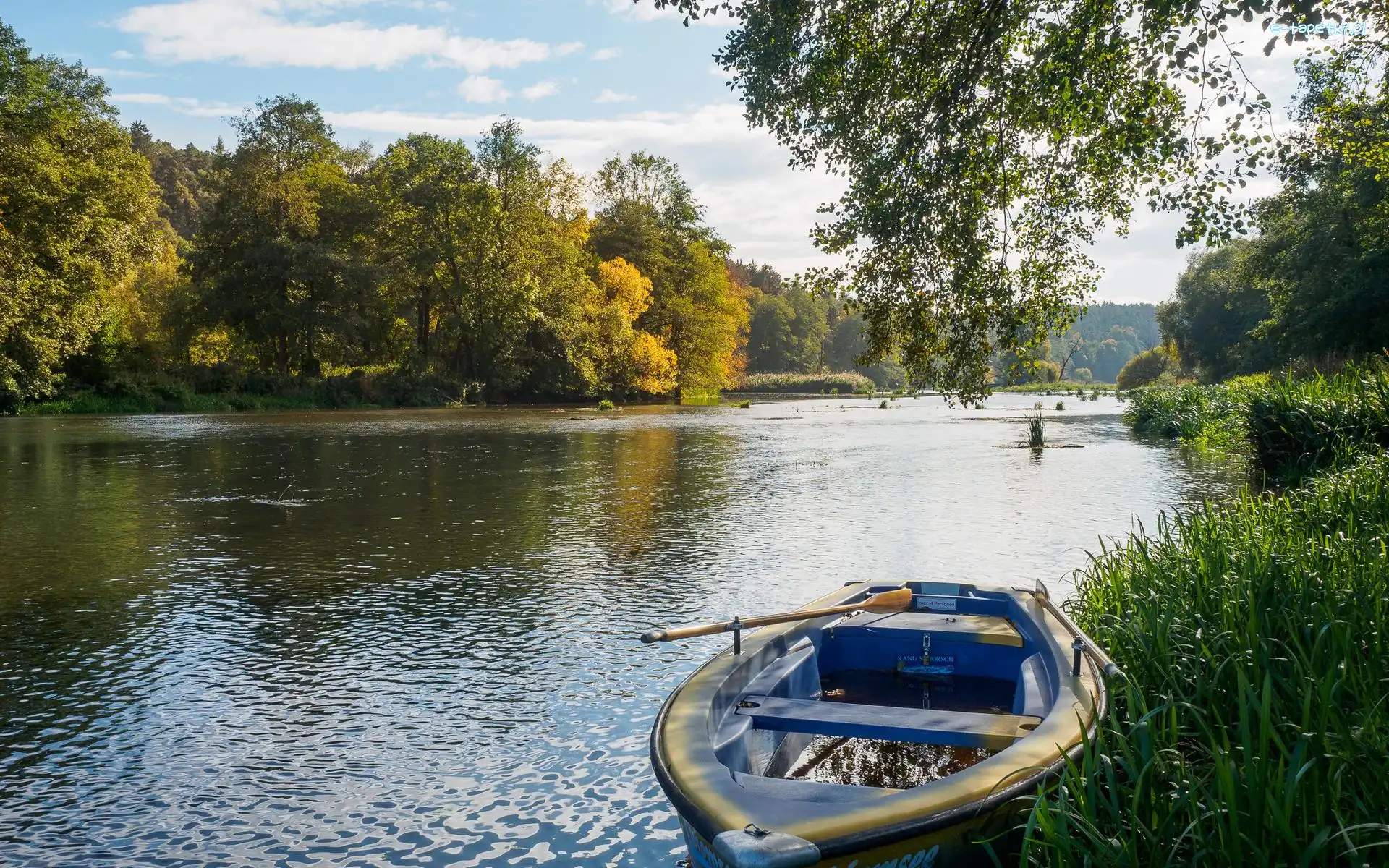Drzewa, Łódka, Jezioro