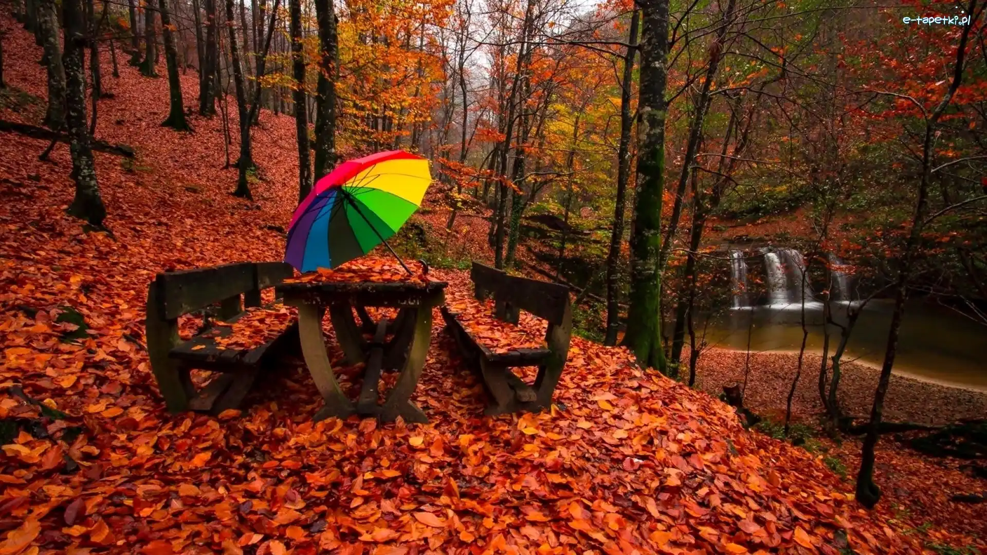 Parasol, Jesień, Liście, Ławki