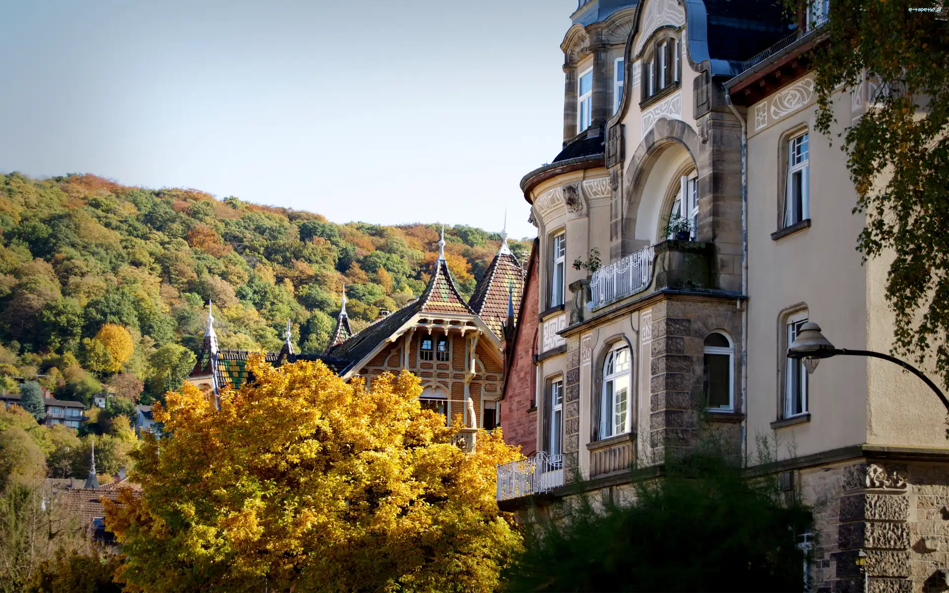 Niemcy, Domy, Heidelberg, Jesień, Las