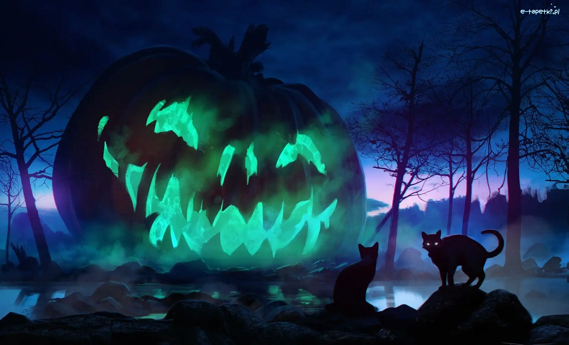 Świecąca, Koty, Dynia, Halloween