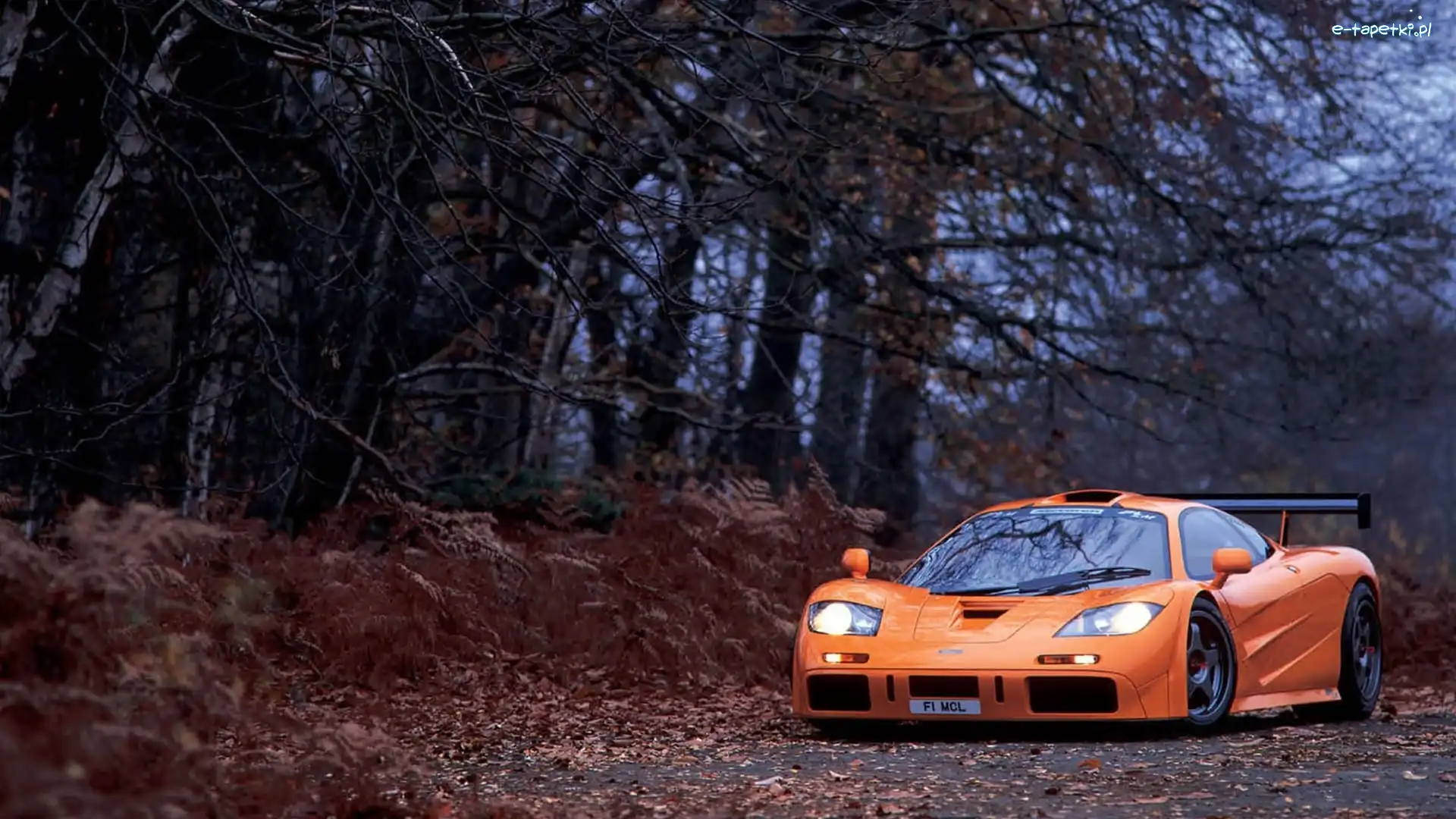 Droga, Jesień, Las, McLaren F1