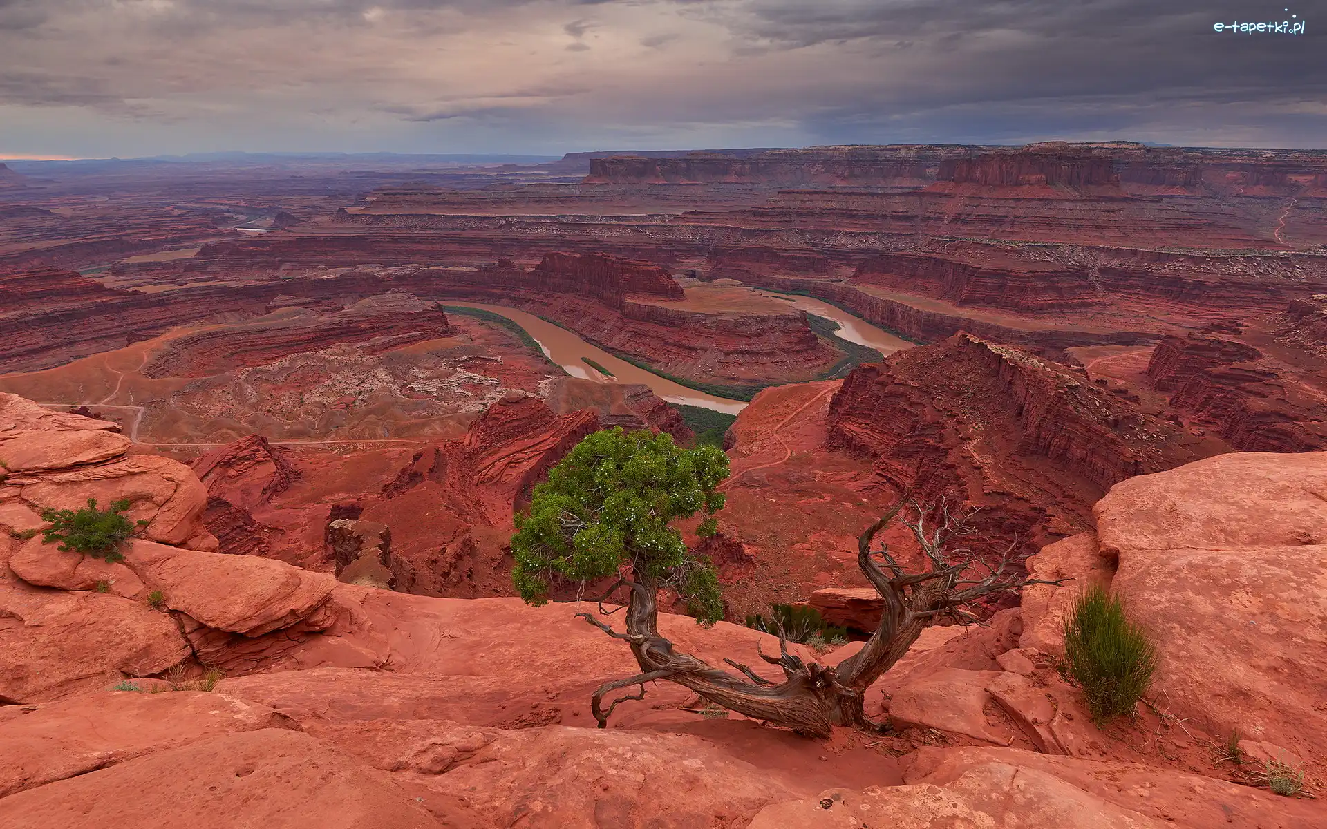 Park stanowy Dead Horse Point, Kanion