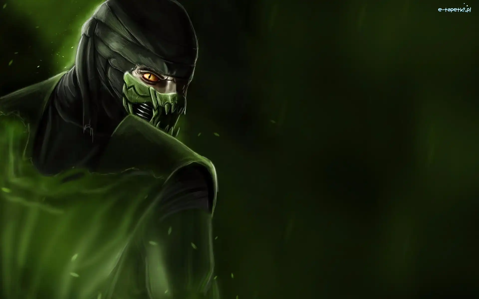 Gra, Kombat, Mortal, Reptile, Postać