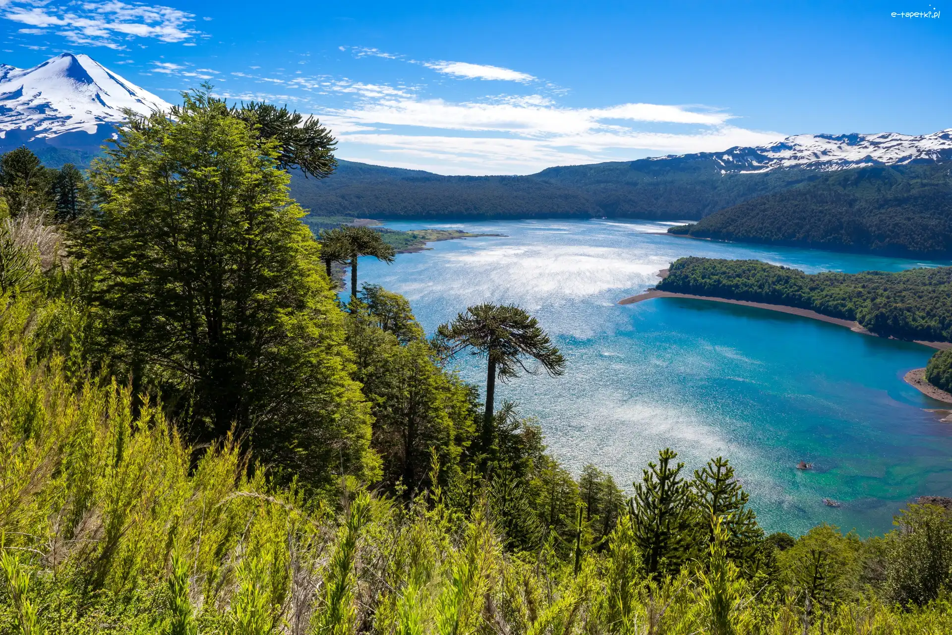 Drzewa, Chile, Góry, Jezioro