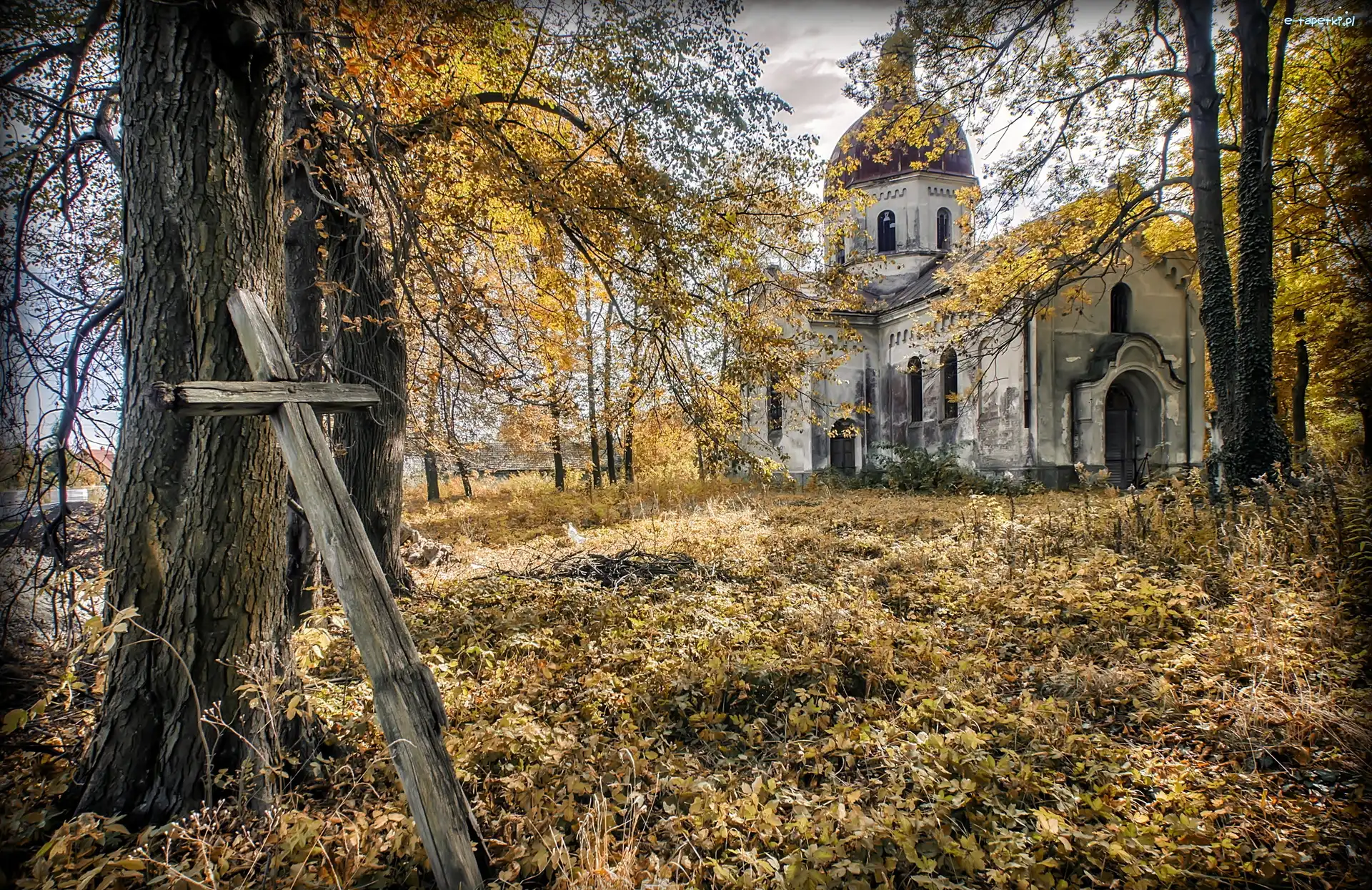 Drzewa, Jesień, Cerkiew