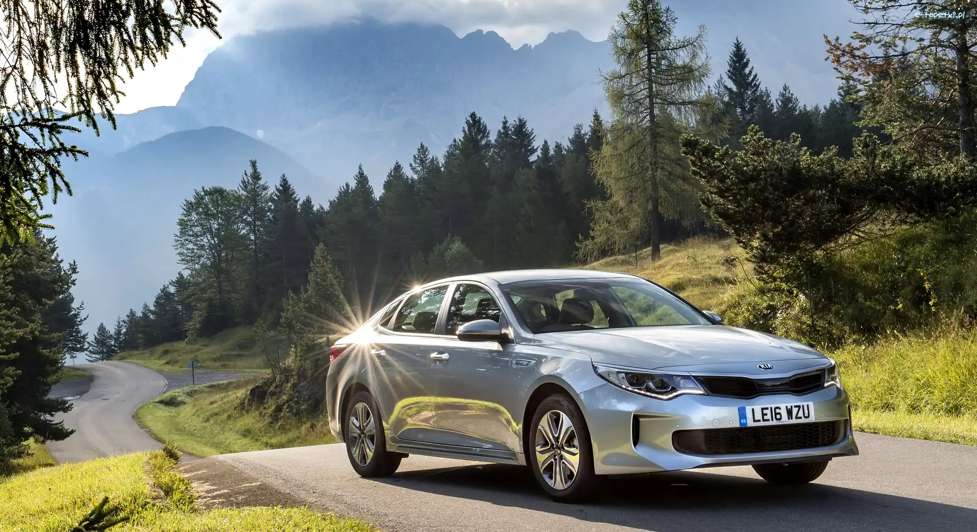 Drzewa, Droga, Kia Optima