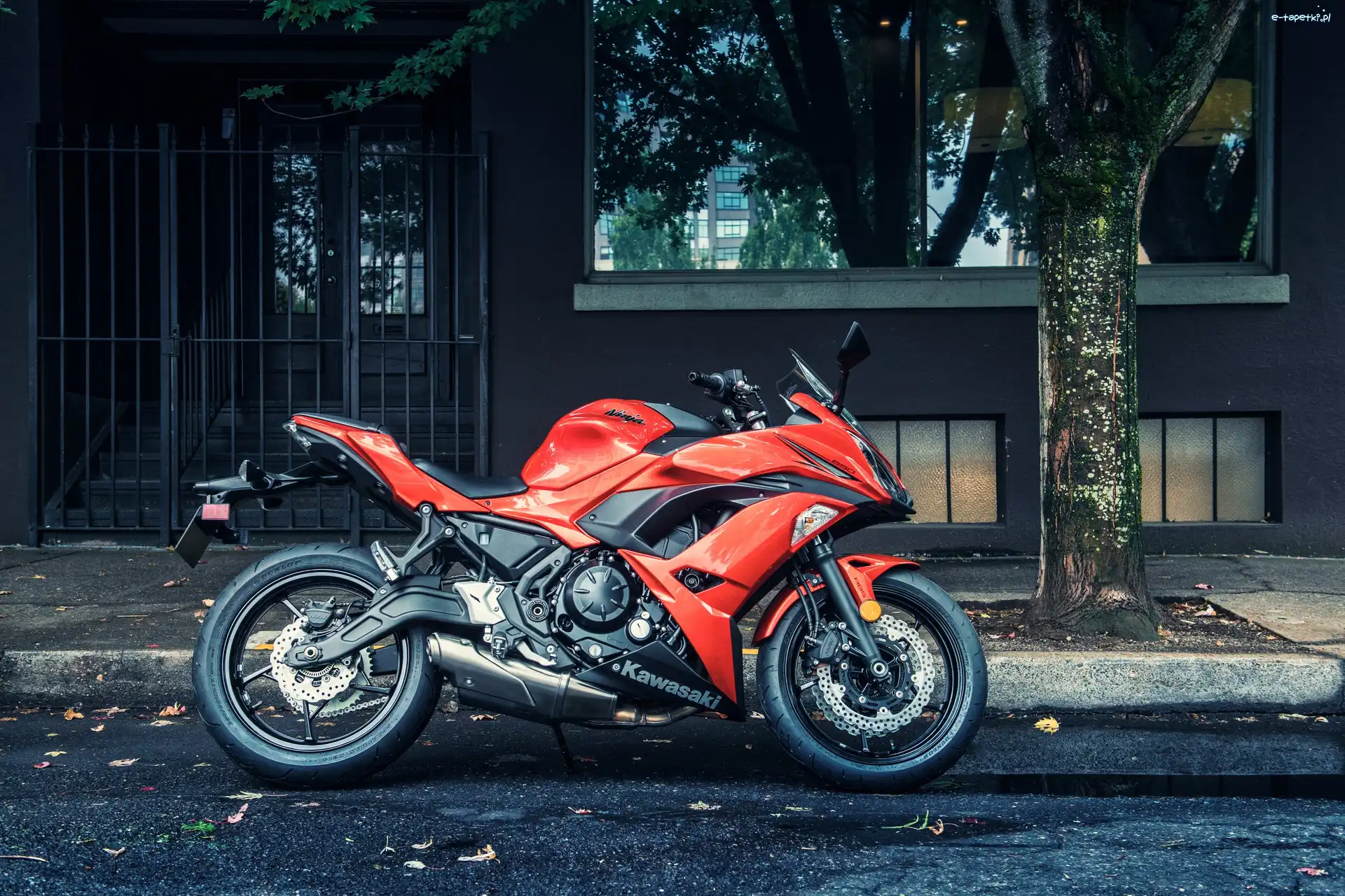 2016 Ninja 650, Kawasaki, Motocykl