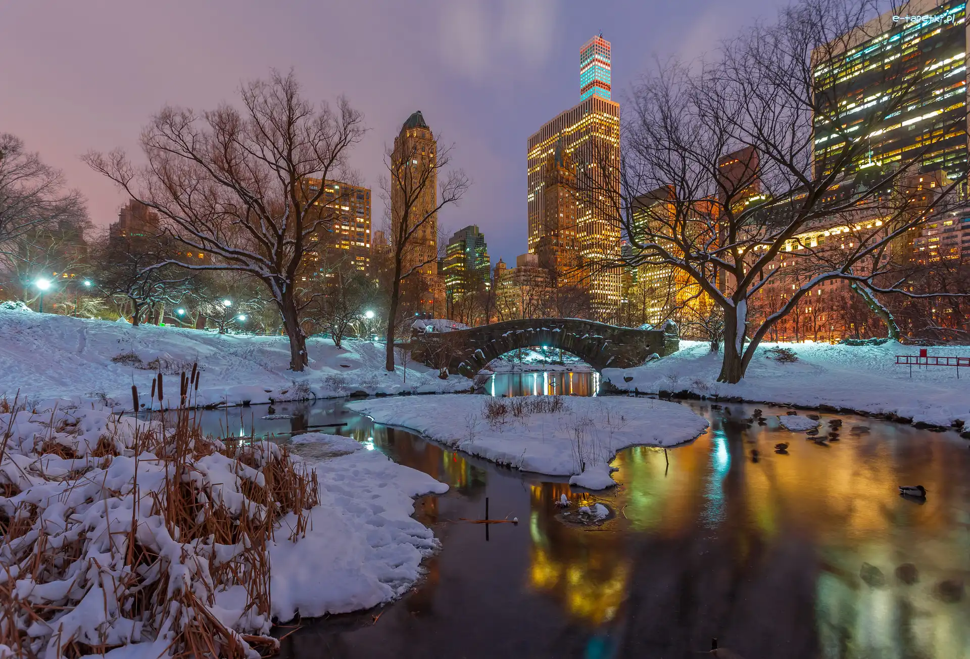 Zima, Park, Nowy Jork