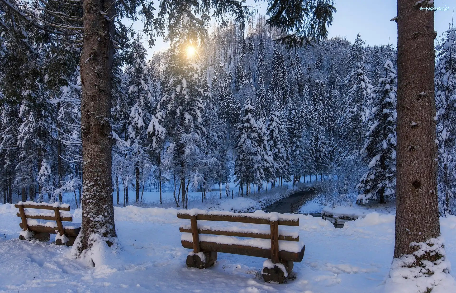 Zima, Drzewa, Park, Wschód słońca, Ławki