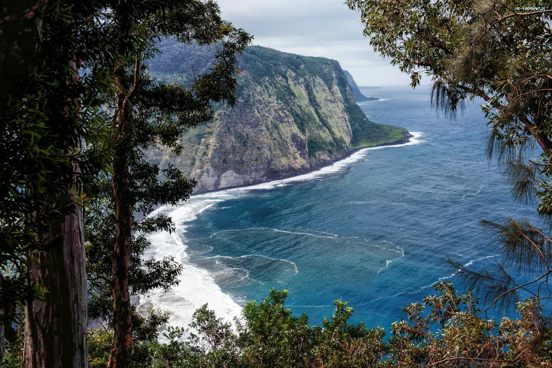 Wybrzeże, Hawaje, Dolina Waipio Valley, Morze