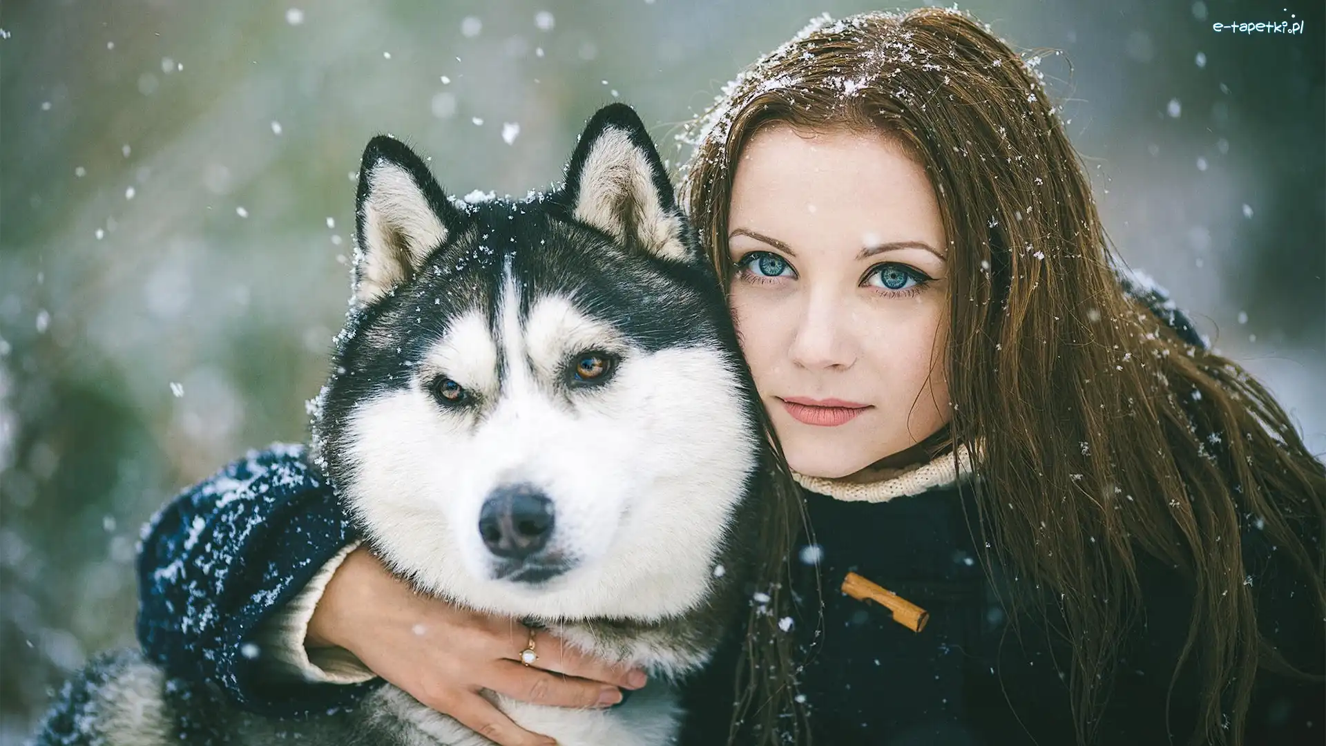Śnieg, Alaskan Malamute, Kobieta
