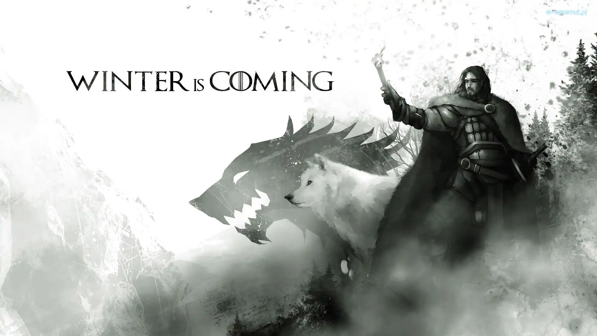 Winter is coming, Game of Thrones, Gra o tron