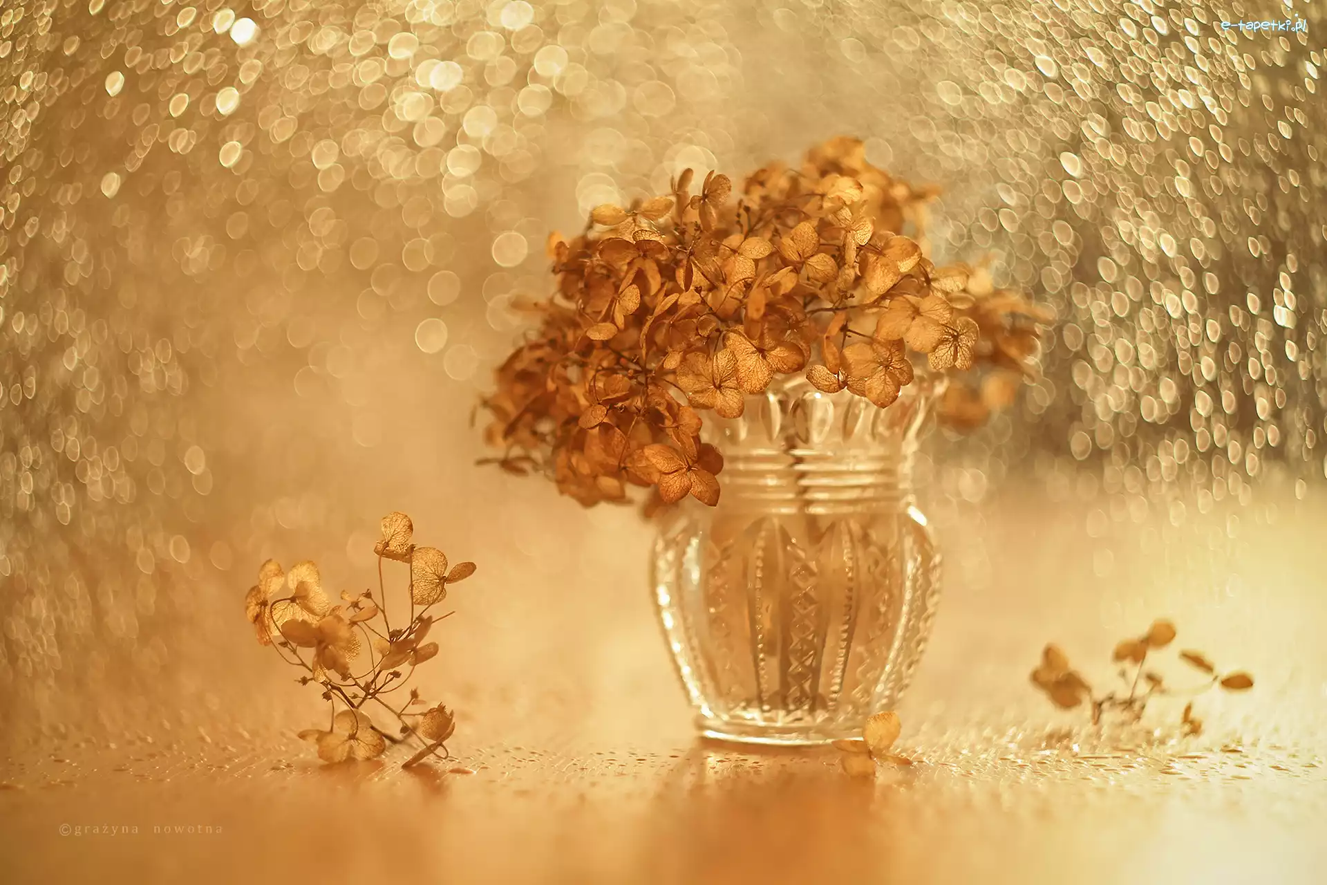 Hortensja, Kwiaty, Suche, Wazonik, Bokeh