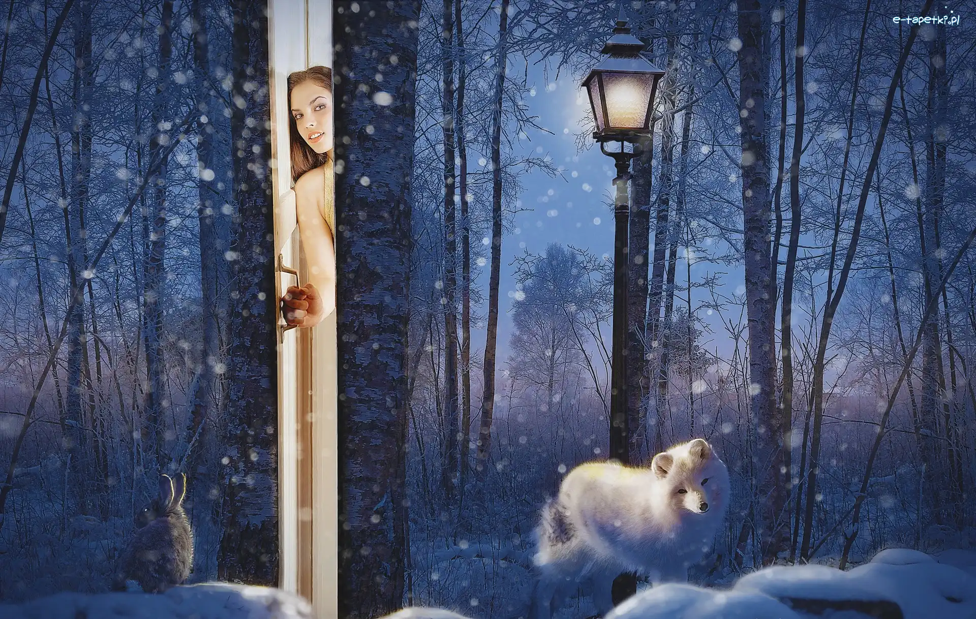 Biały, Zając, Drzwi, Zima, Fantasy, Drzewa, Latarnia, Kobieta, Wilk