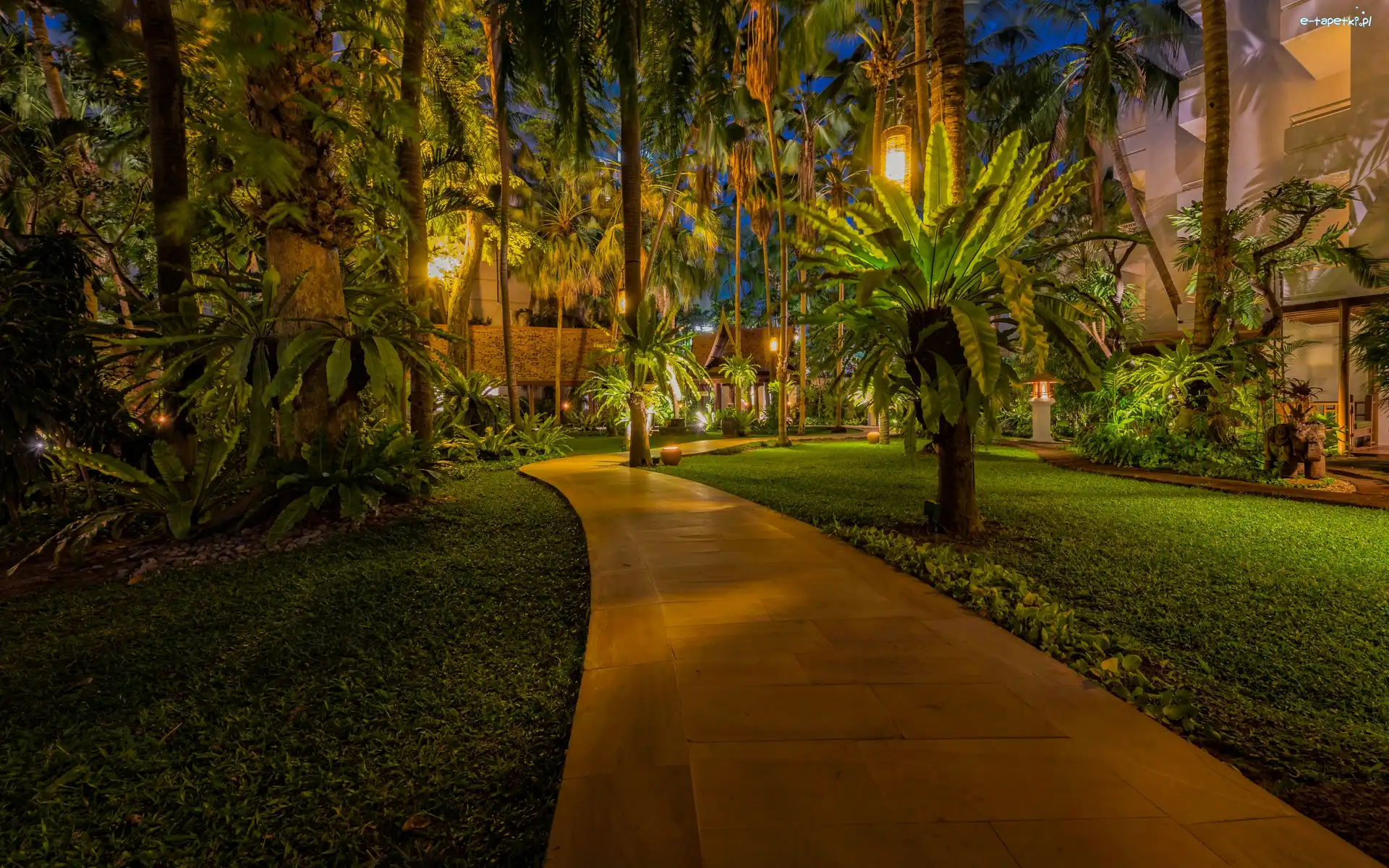 Tajlandia, Park, Pattaya, Tropiki, Palmy
