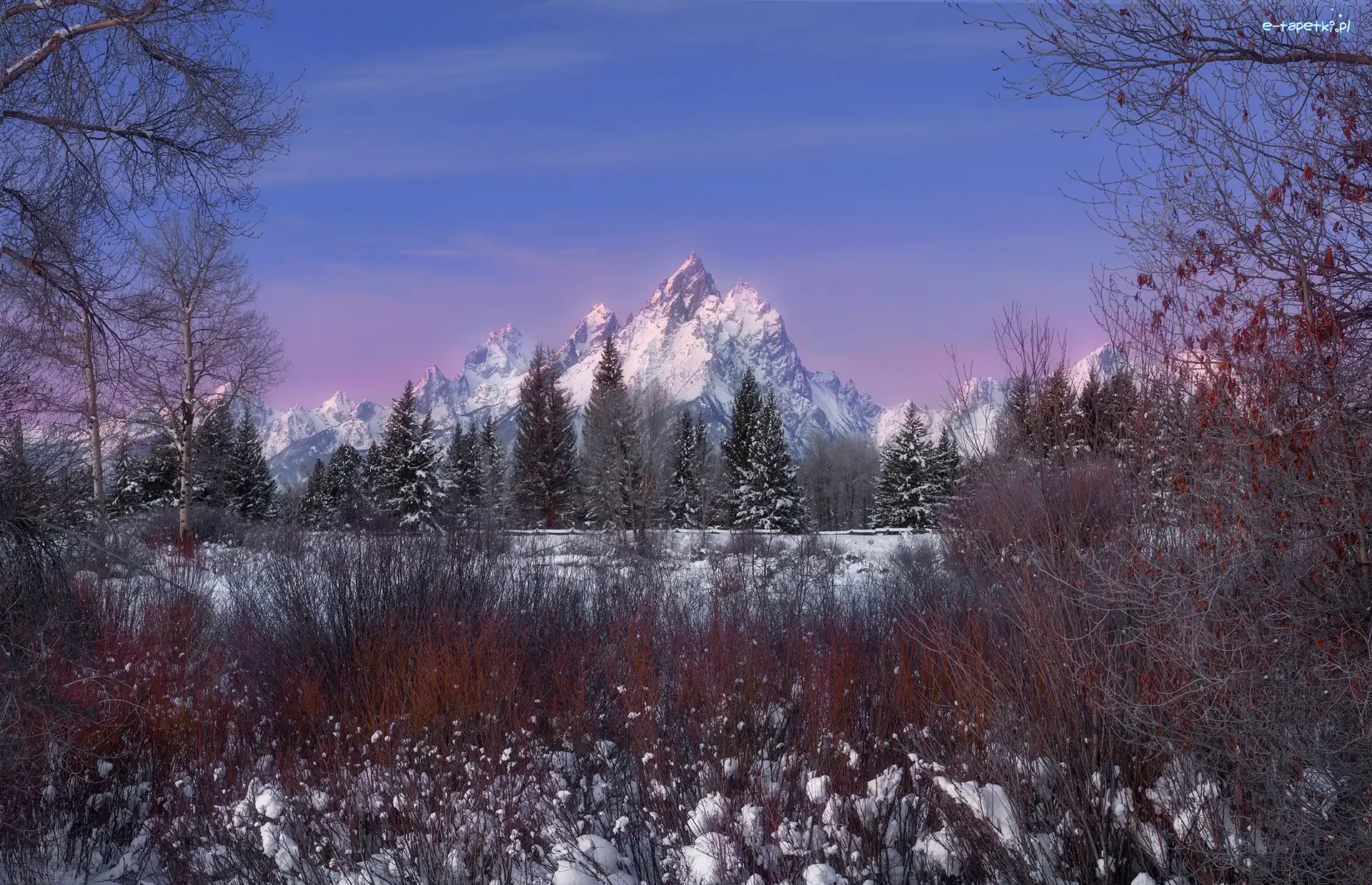 Wyoming, Drzewa, Park Narodowy Grand Teton, Stany Zjednoczone, Góry, Zima