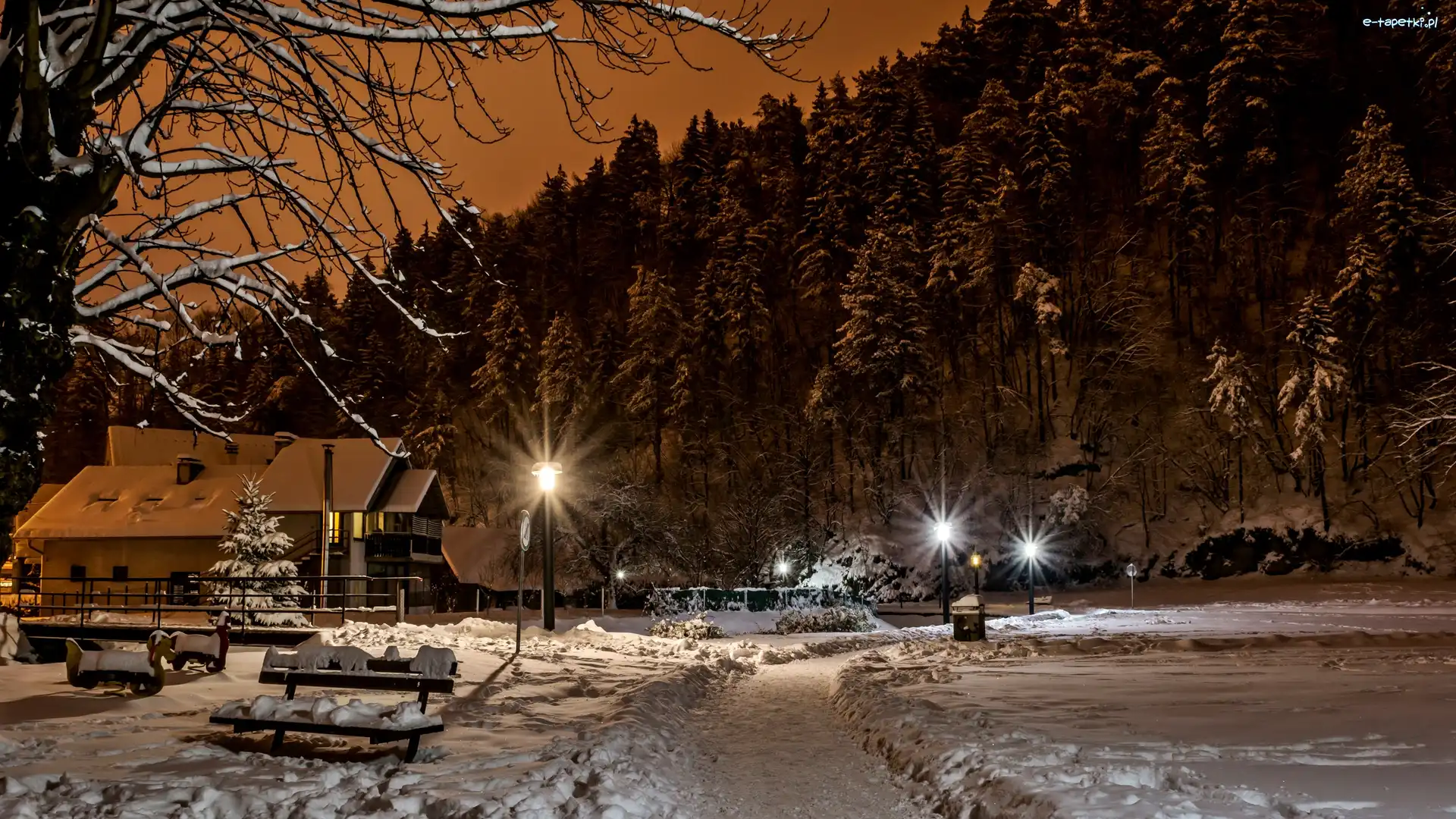 Ławki, Dom, Latarnie, Chorwacja, Drzewa, Zima