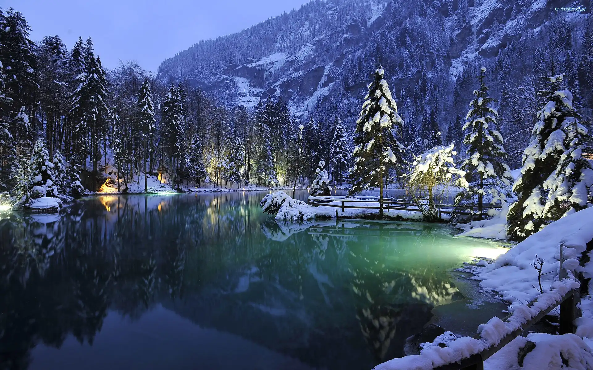 Jezioro Blausee, Lasy, Drzewa, Szwajcaria, Góry, Zima