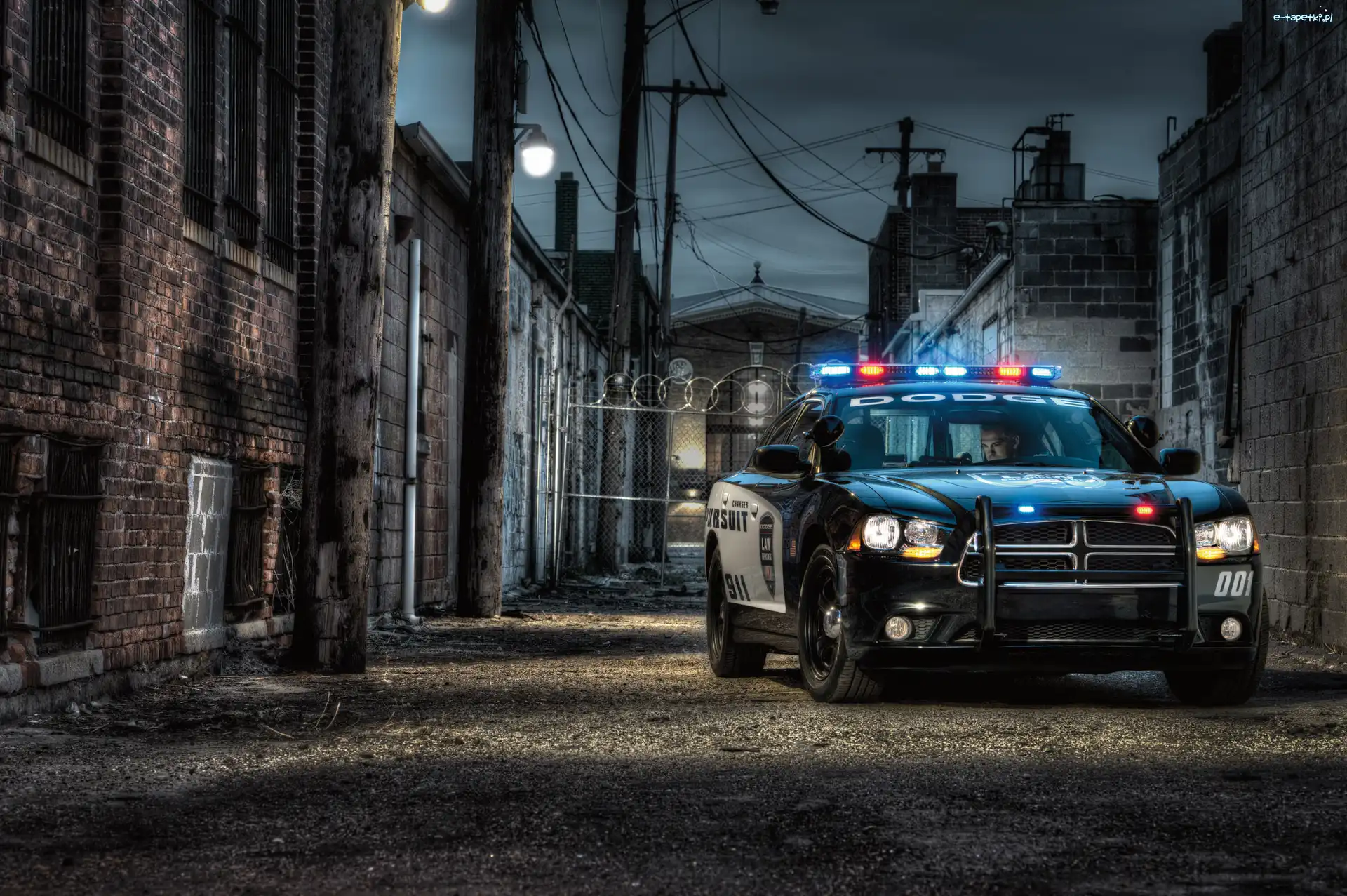 Pursuit, Radiowóz, Policyjny, Dodge Charger